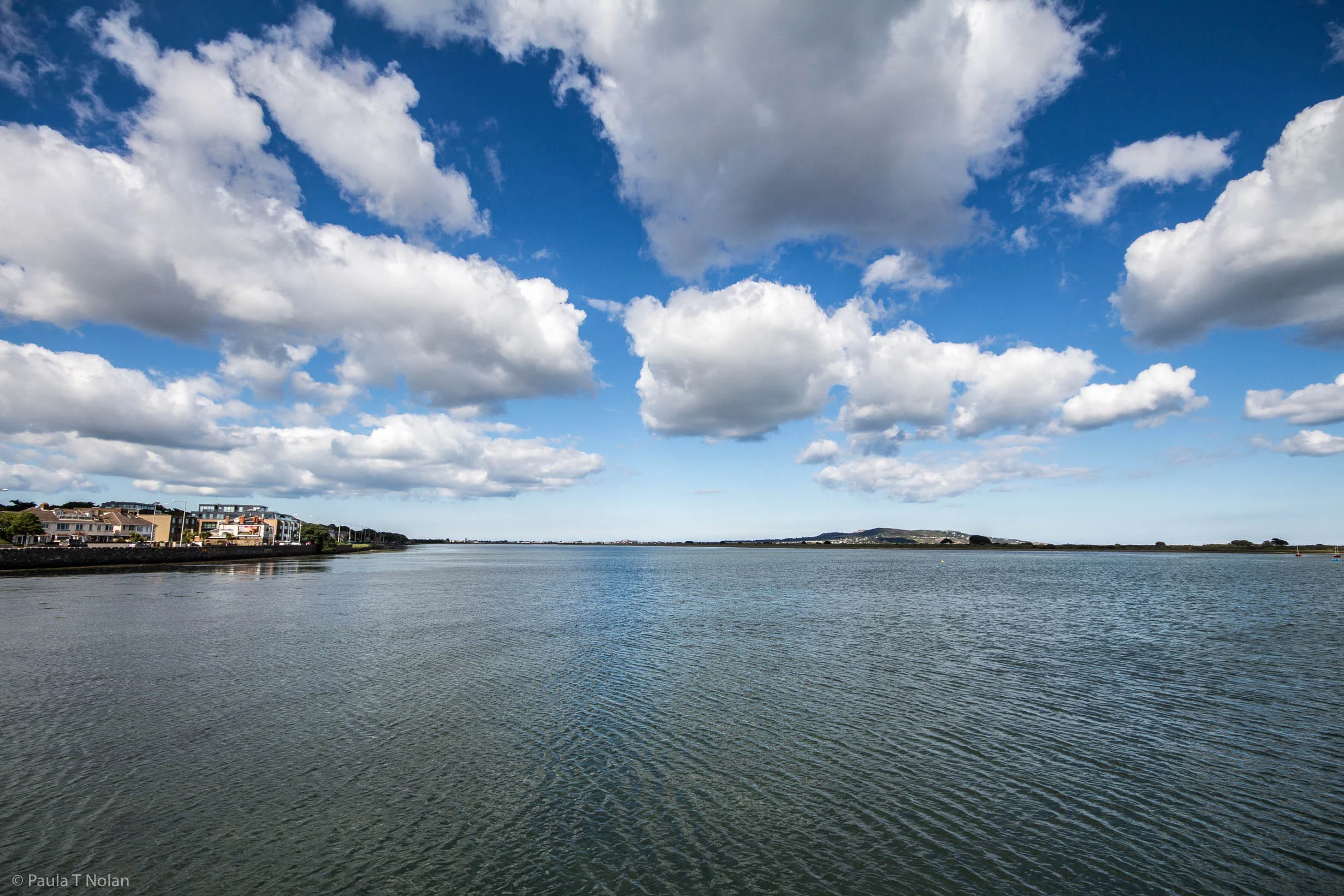 2018_06_22 Dollymount-5659.jpg