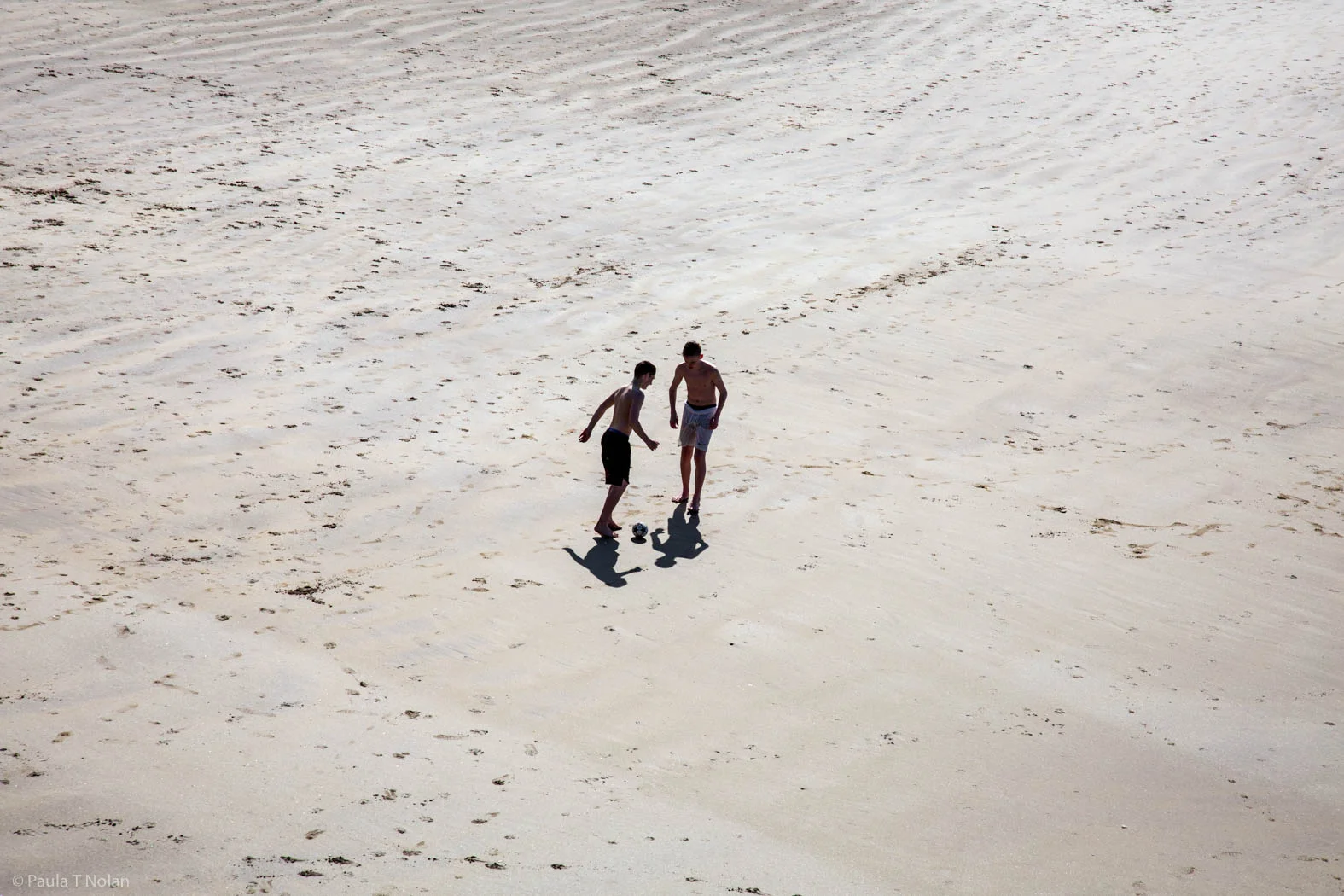 BEACH BOYS-0985.jpg