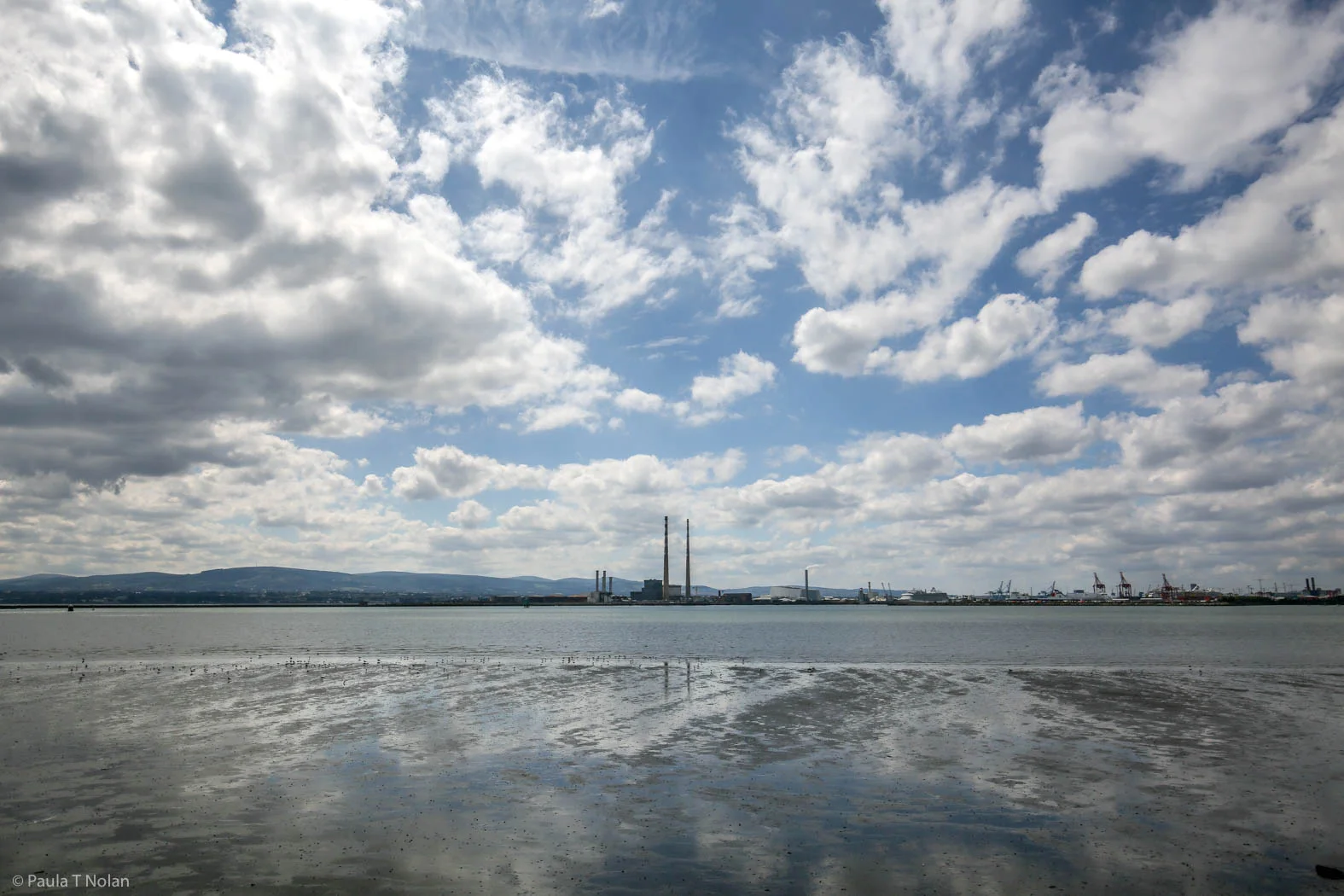 DOLLYMOUNT-2602.jpg