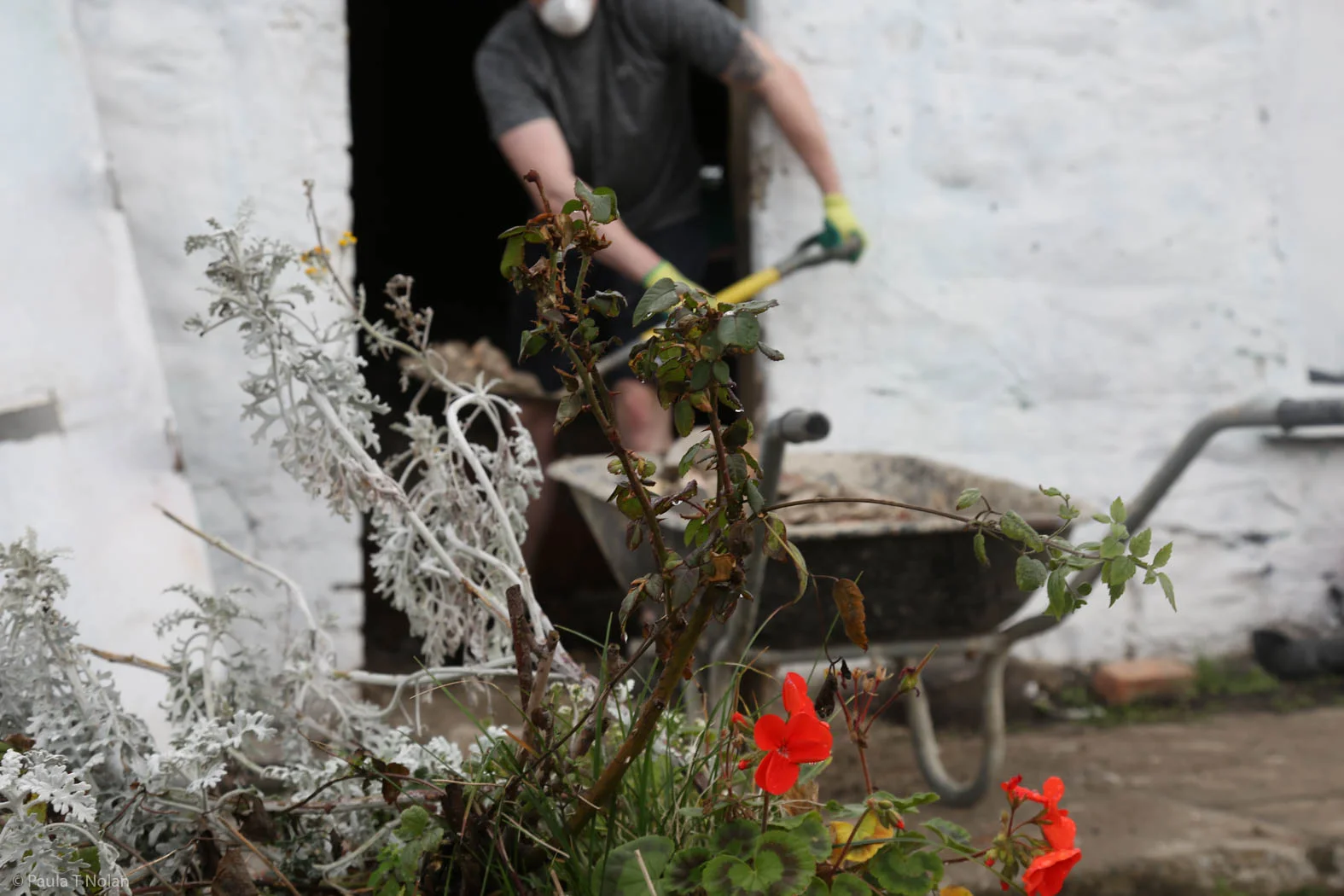 LOCK KEEP RENOV COTTAGE-6965.jpg
