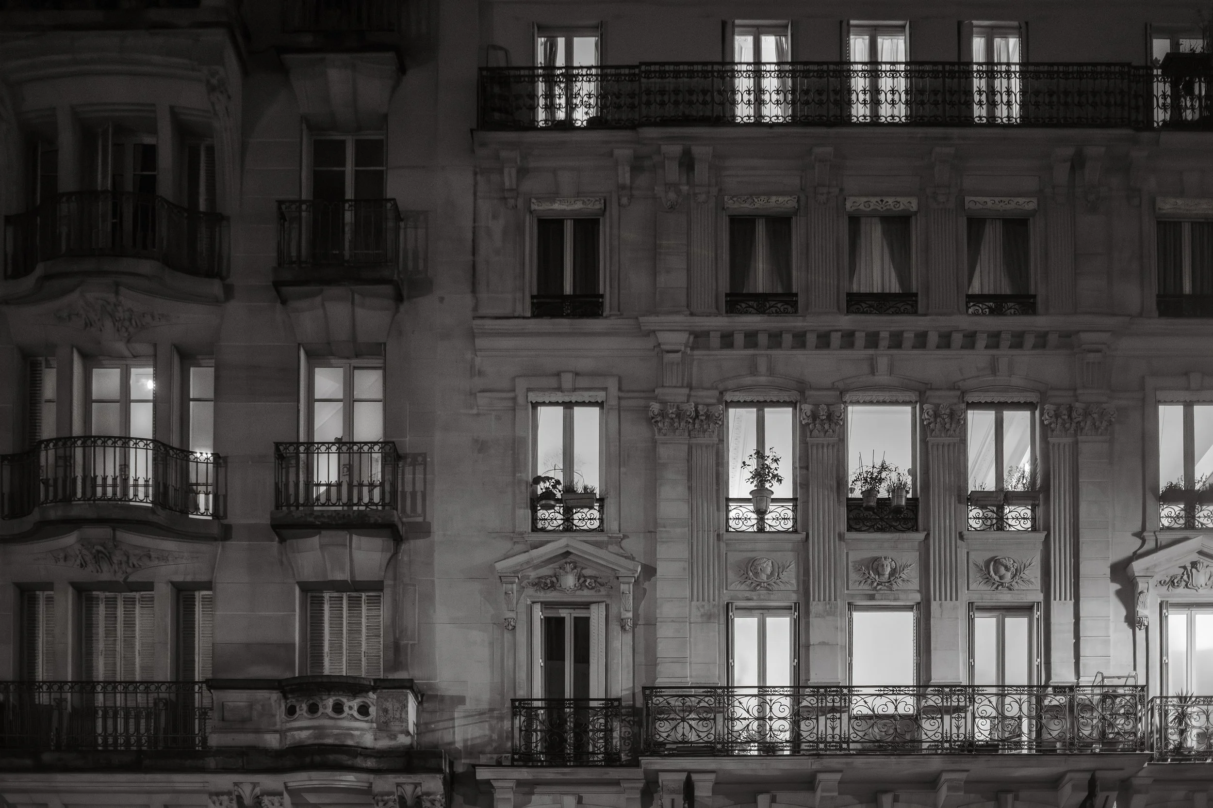 PARIS TEA TIME WINDOWS: LES PLANTES