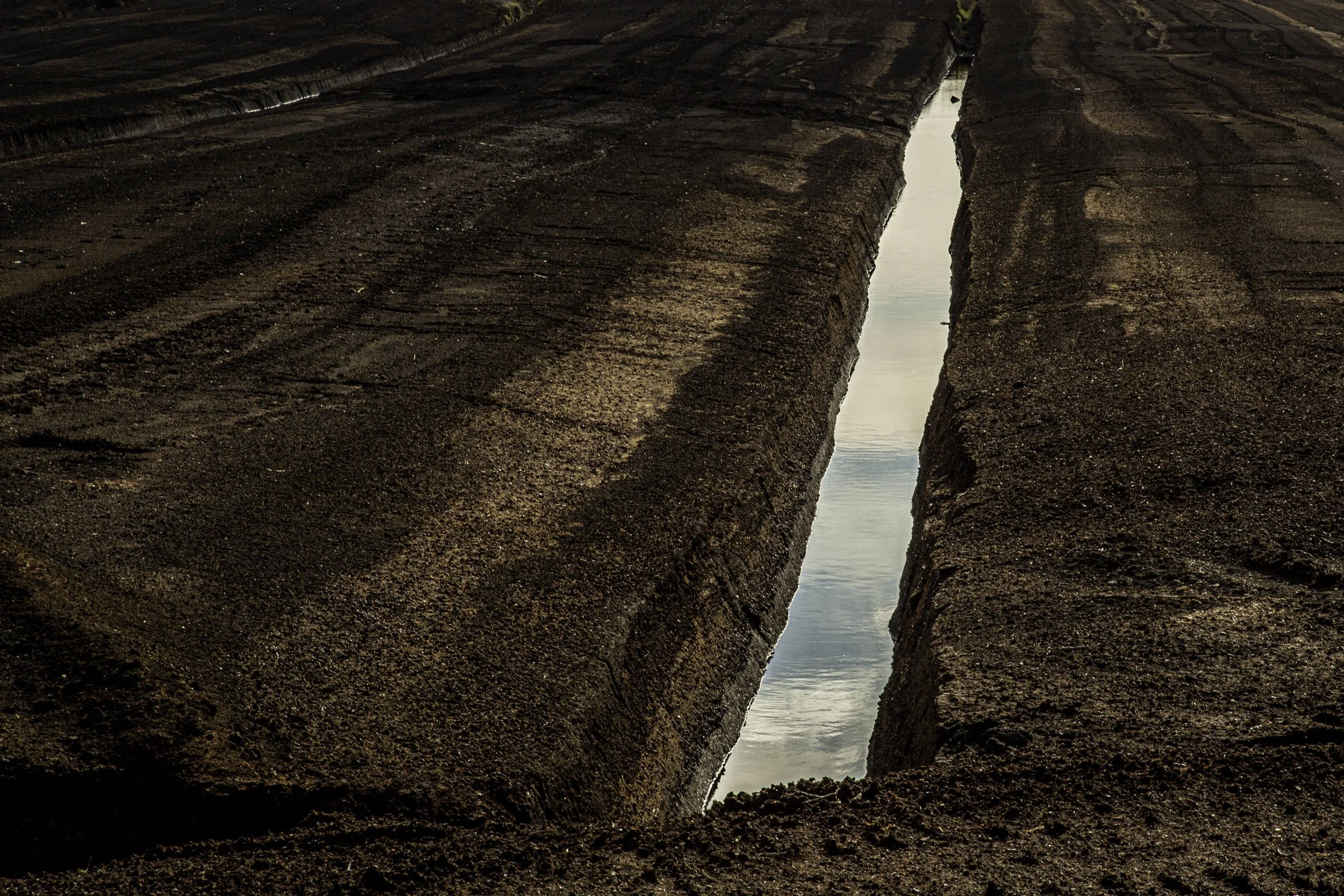 EARTH V