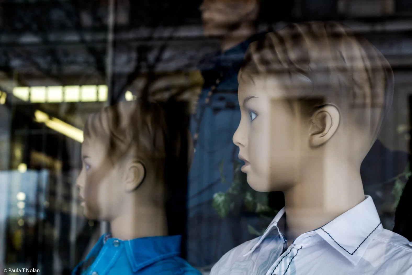 DODGE DUMMIES 4 JAN 2014-3-.jpg