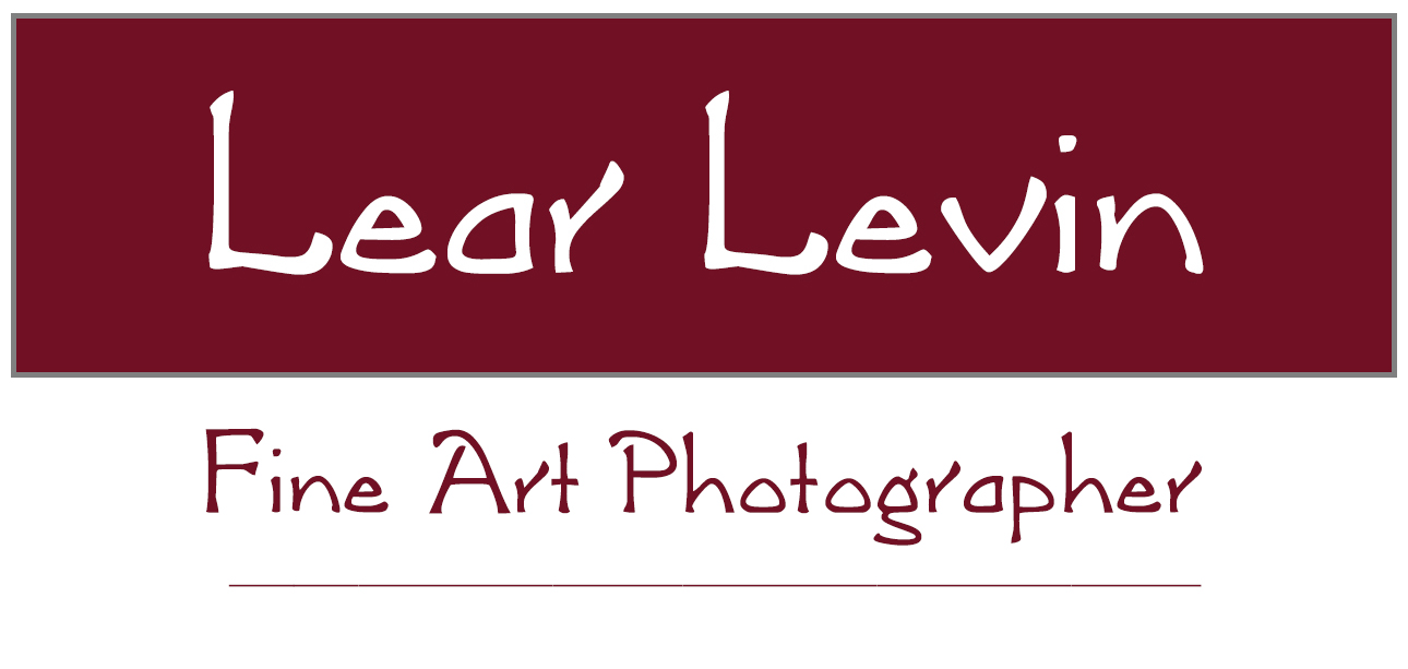 Lear Levin