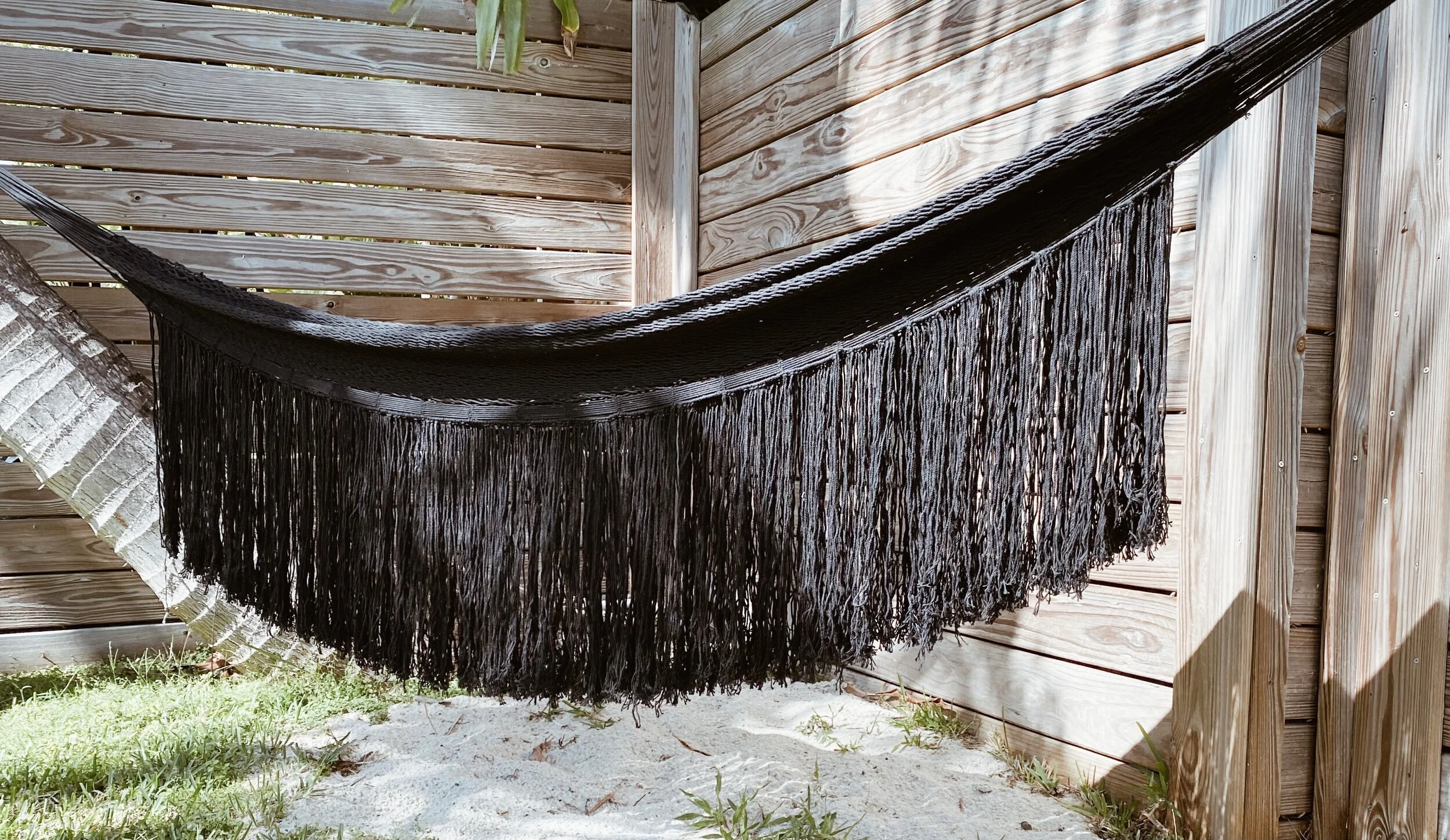 AA079AFA-5E9D-4441-8E2D-AF0DBCCEAB39