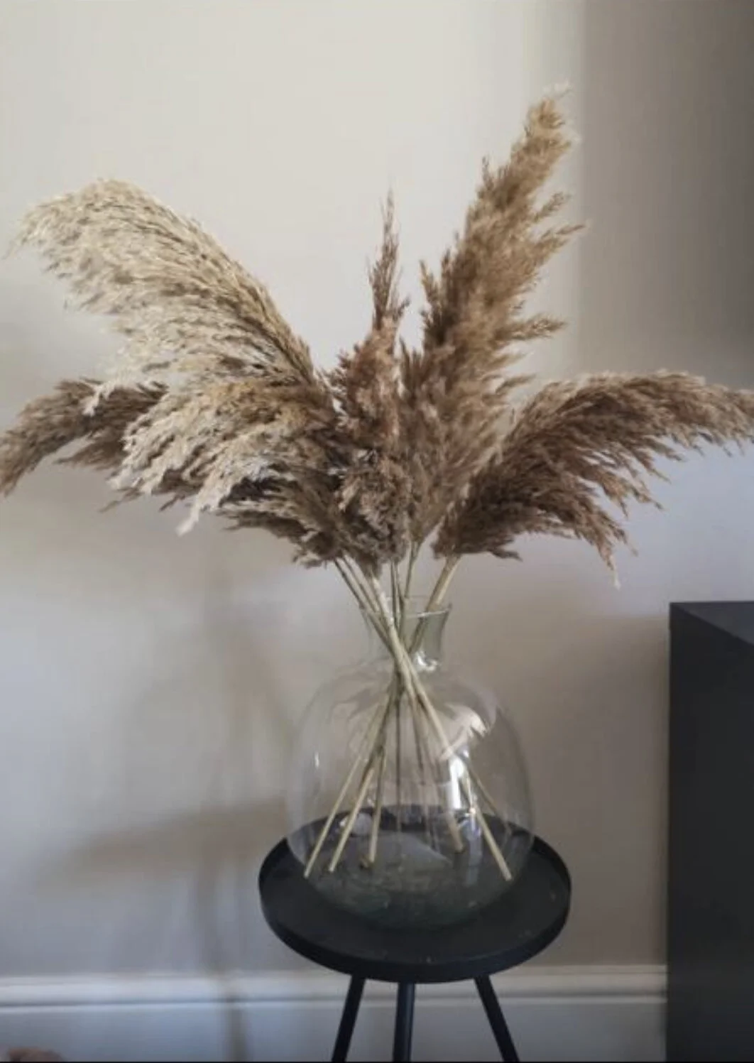 B9B9C534-2385-4925-A197-6FB09E26A72A