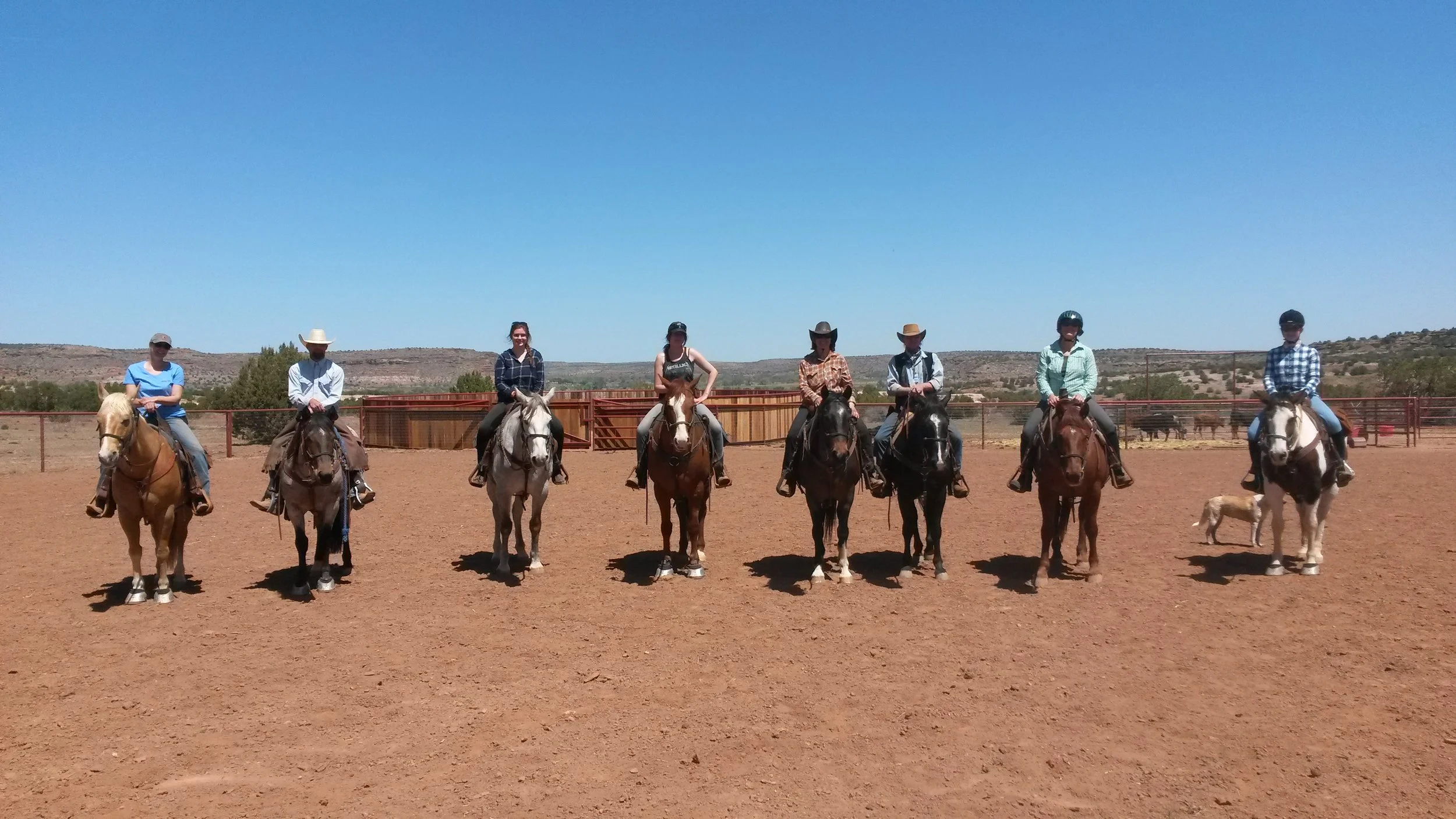 From left to right: Annika on Johnny, Rob on Gus, Tanja on Zane, Anne on Champ, Brigitte on Ricky, Jürgen on Harry, Silke on Butch and Annika on Ace. Von links nach rechts: Annika auf Johnny, Rob auf Gus, Tanja auf Zane, Anne auf Champ, Brigitte auf Ricky, Jürgen auf Harry, Silke auf Butch und Annika auf Ace.