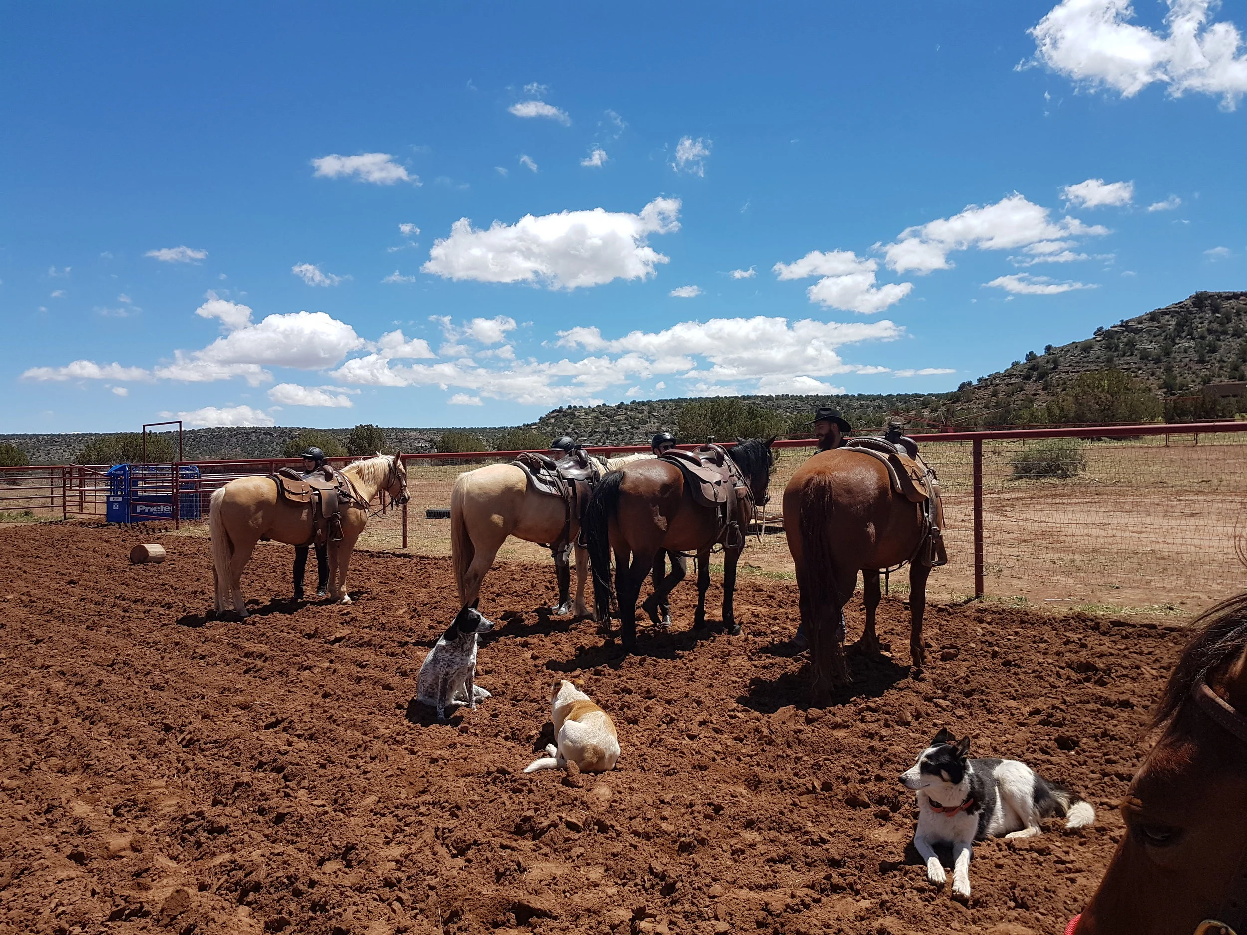 Last preparations in the arena before mounting (from left to right: Esther with Win It, Hauke with Walter, Holger with Hank and Zoulu with Butch). The sky of New Mexico is so amazingly beautiful! Letzte Vorbereitungen in der Arena vor dem Aufsitzen (von links nach rechts: Esther mit Win It, Hauke mit Walter, Holger mit Hank und Zoulu mit Butch). Der New Mexico Himmel ist so unglaublich schön!