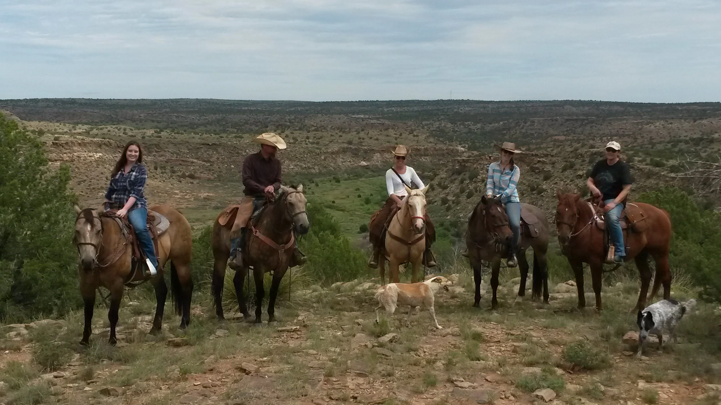 Change of scenery and some participants ;-) From left to right: Amanda on King, Rob on Dusty, Christina on Win It, Pia on Gus and Birgit on Butch and our dogs Shelby and Luna. Amanda works for the Santa Fean Magazine and she wrote an article about Creek Ranch. Szenenwechsel und ein paar andere Teilnehmer ;-) Von links nach rechts: Amanda auf King, Rob auf Dusty, Christina auf Win It, Pia auf Gus und Birgit auf Butch und unsere Hunde Shelby und Luna. Amanda arbeitet für das Santa Fean Magazine und sie hat einen Artikel über Creek Ranch geschrieben.