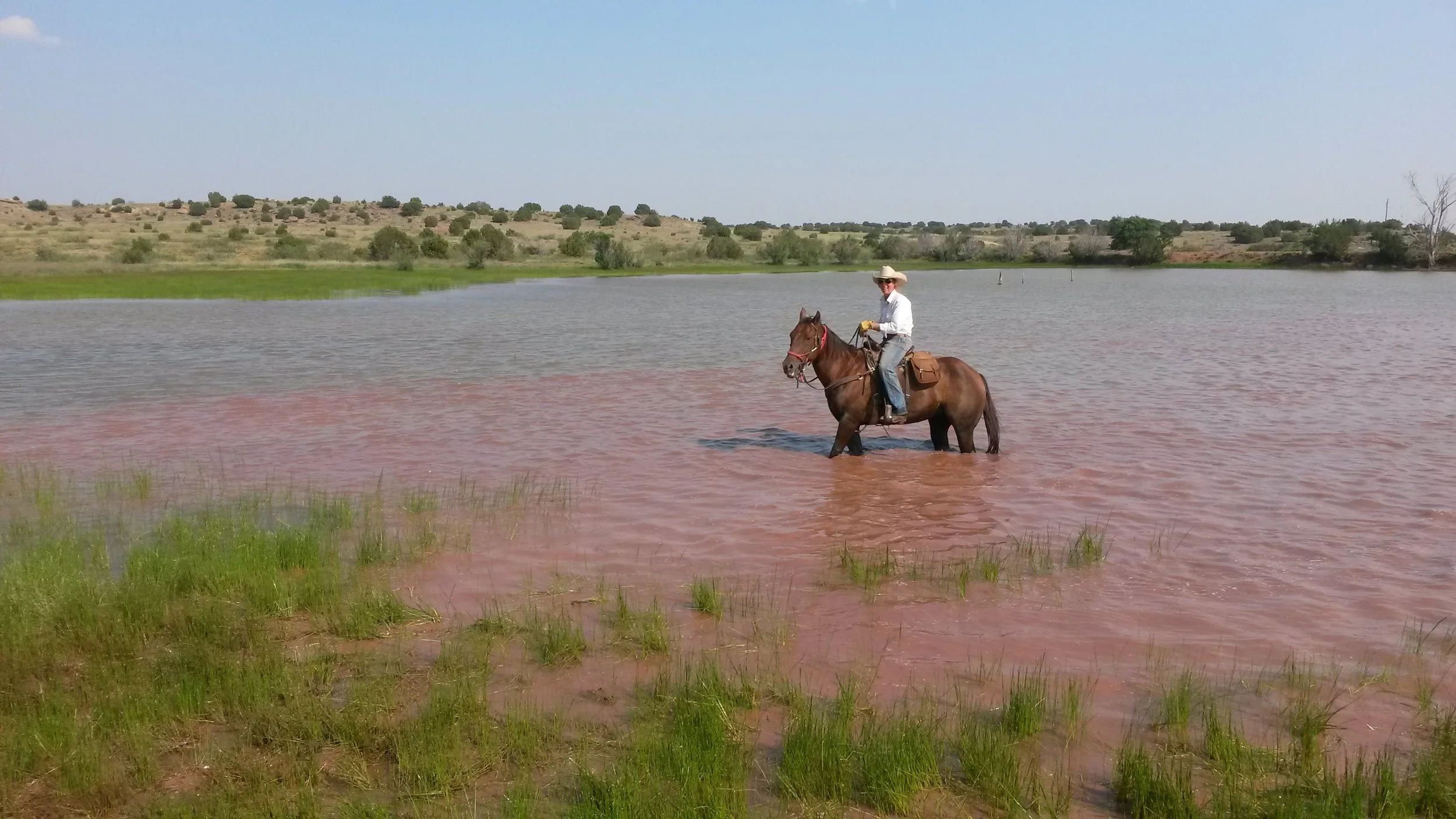 Andy and Snickers nearly got stuck in the dirt tank. Andy und Snickers wären im Teich fast steckengeblieben.
