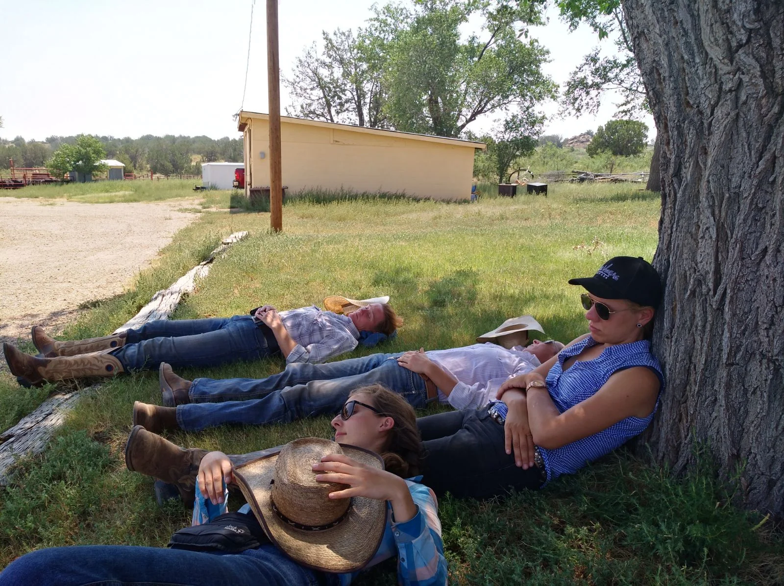 And we (front to back: Pia, Christina, Andy and I) extended the lunch break a little bit in the shade of this Cotton Wood tree ;-) Und wir (vorne nach hinten: Pia, Christina, Andy und ich) haben die Mittagspause im Schatten dieses Cotton Wood Baums ein bisschen verlängert ;-)
