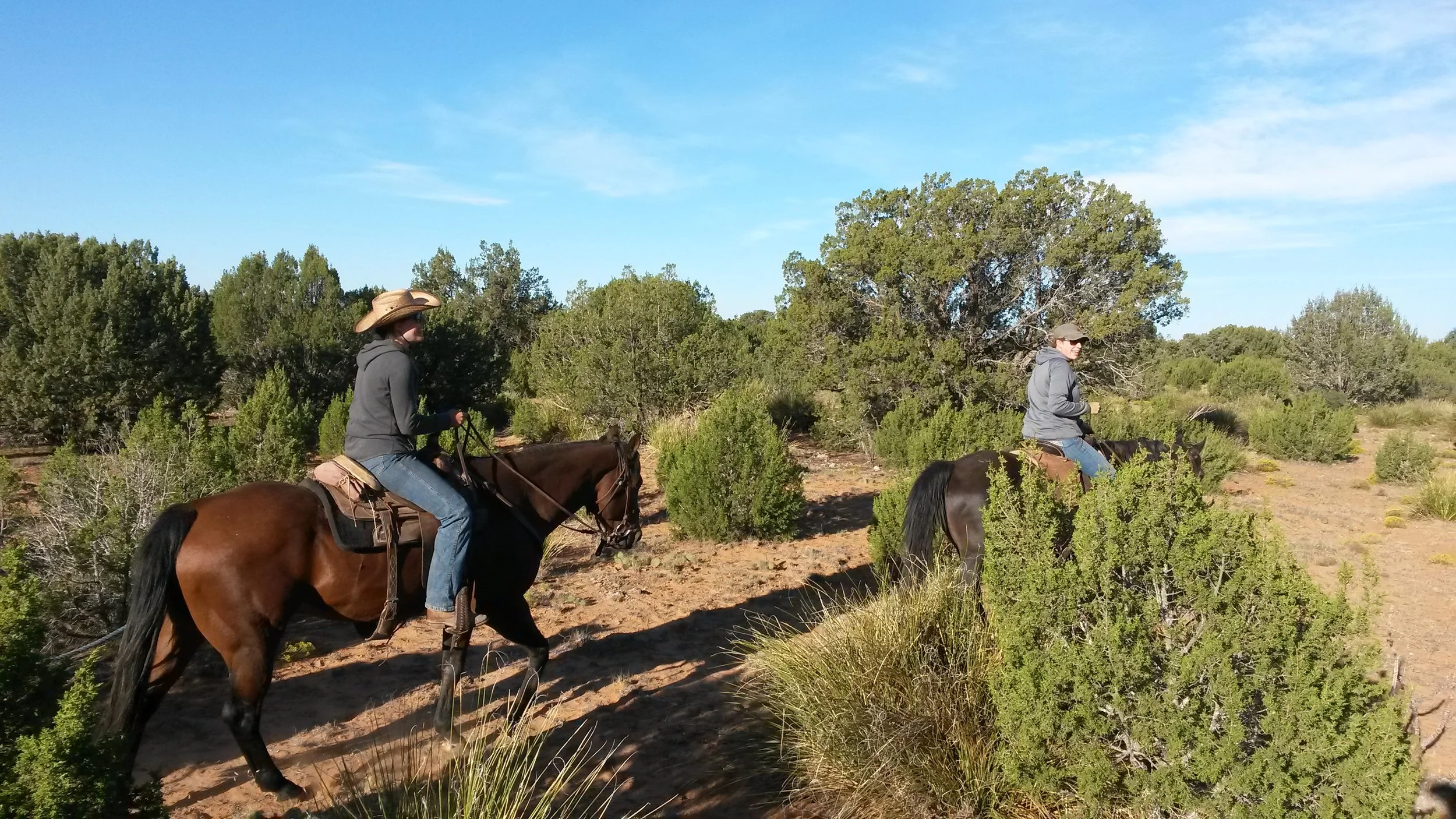The girls on their way home on another day (left to right: Pia on Kip and Annika on Newt). Die Mädels auf dem Weg nach Hause an einem anderen Tag (links nach rechts: Pia auf Kip und Annika auf Newt).