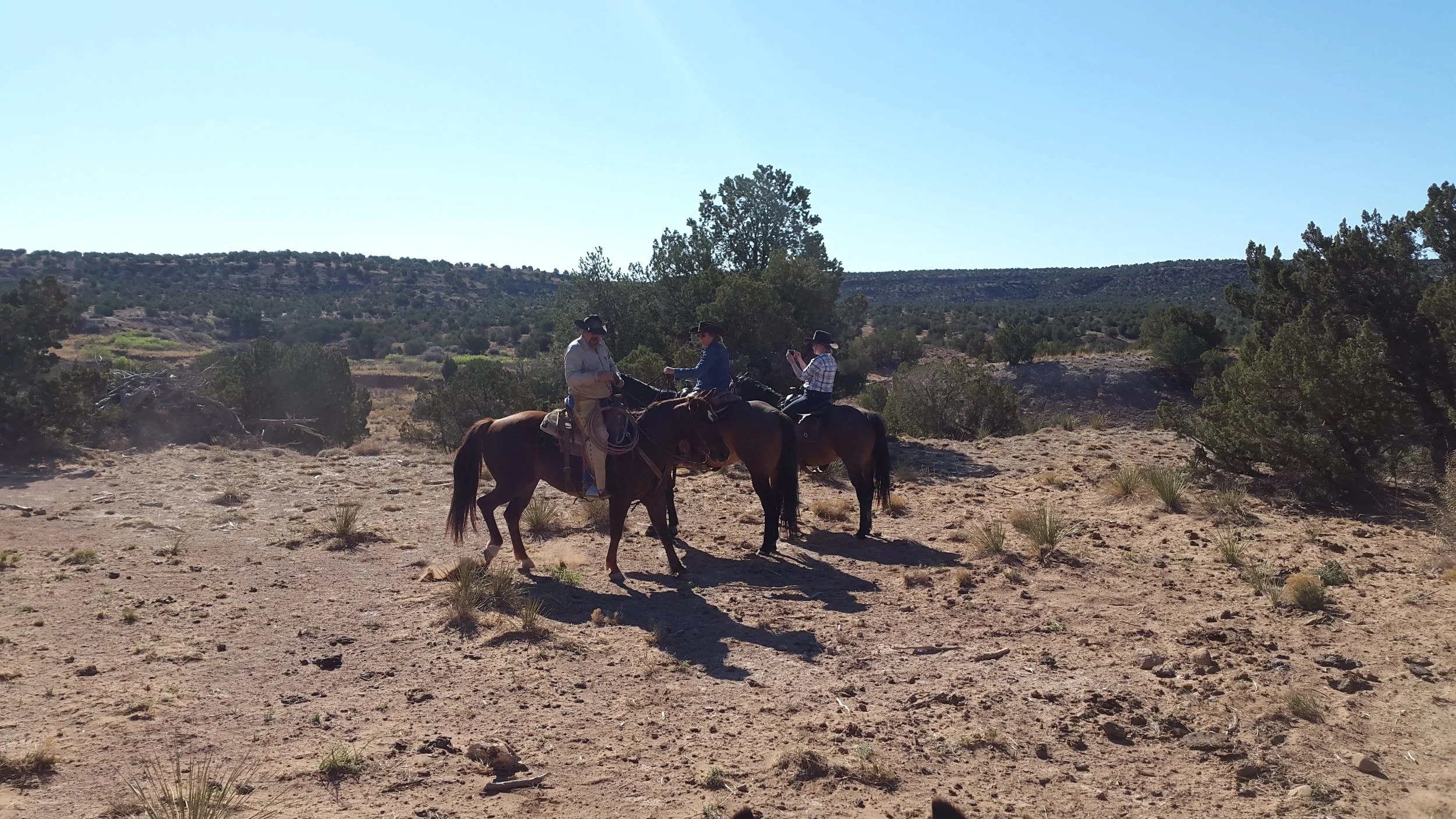 Part of our team meeting shortly before we push the cattle to the new pasture (left to right): Joe on Cowboy, Andrea on Kip and Kathrin on Gus. Ein Teil unseres Teams trifft sich kurz bevor wir die Rinder in die neue Weide treiben (links nach rechts): Joe auf Cowboy, Andrea auf Kip und Kathrin auf Gus.