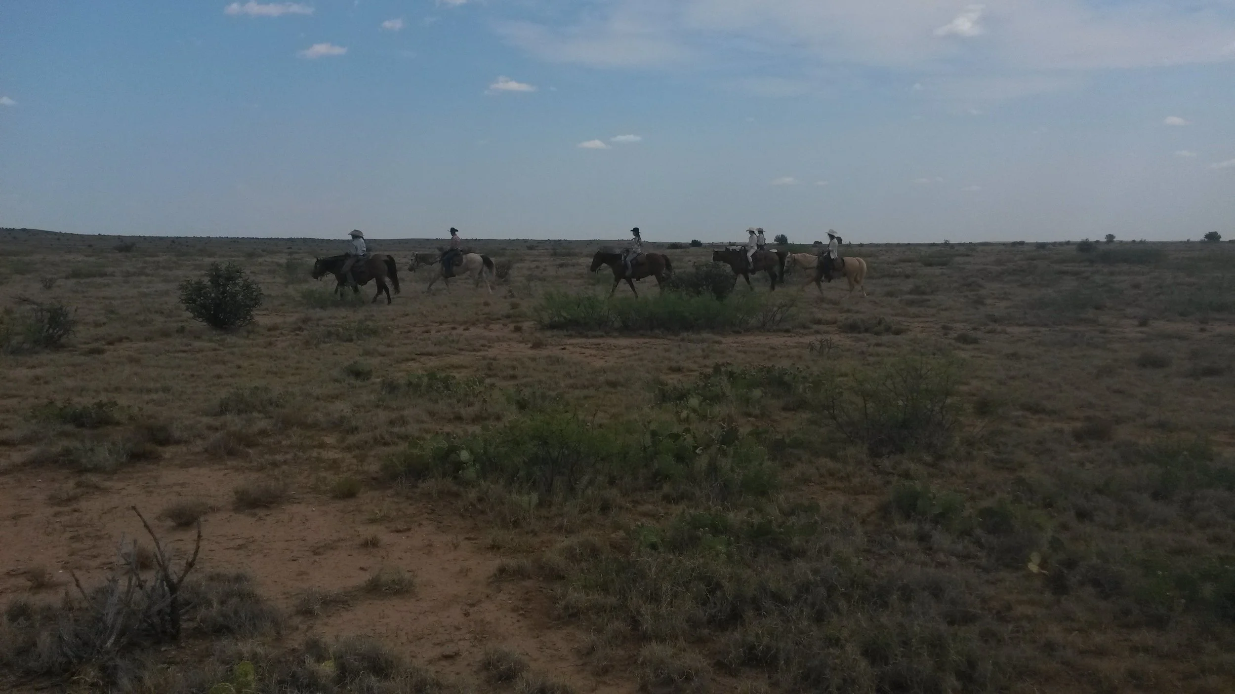 Our team (incl. guests of course) on our way to find the cows in the next pasture. Unser Team (natürlich inkl. Gäste) auf dem Weg um die nächsten Kühe in einer anderen Weide zu finden.
