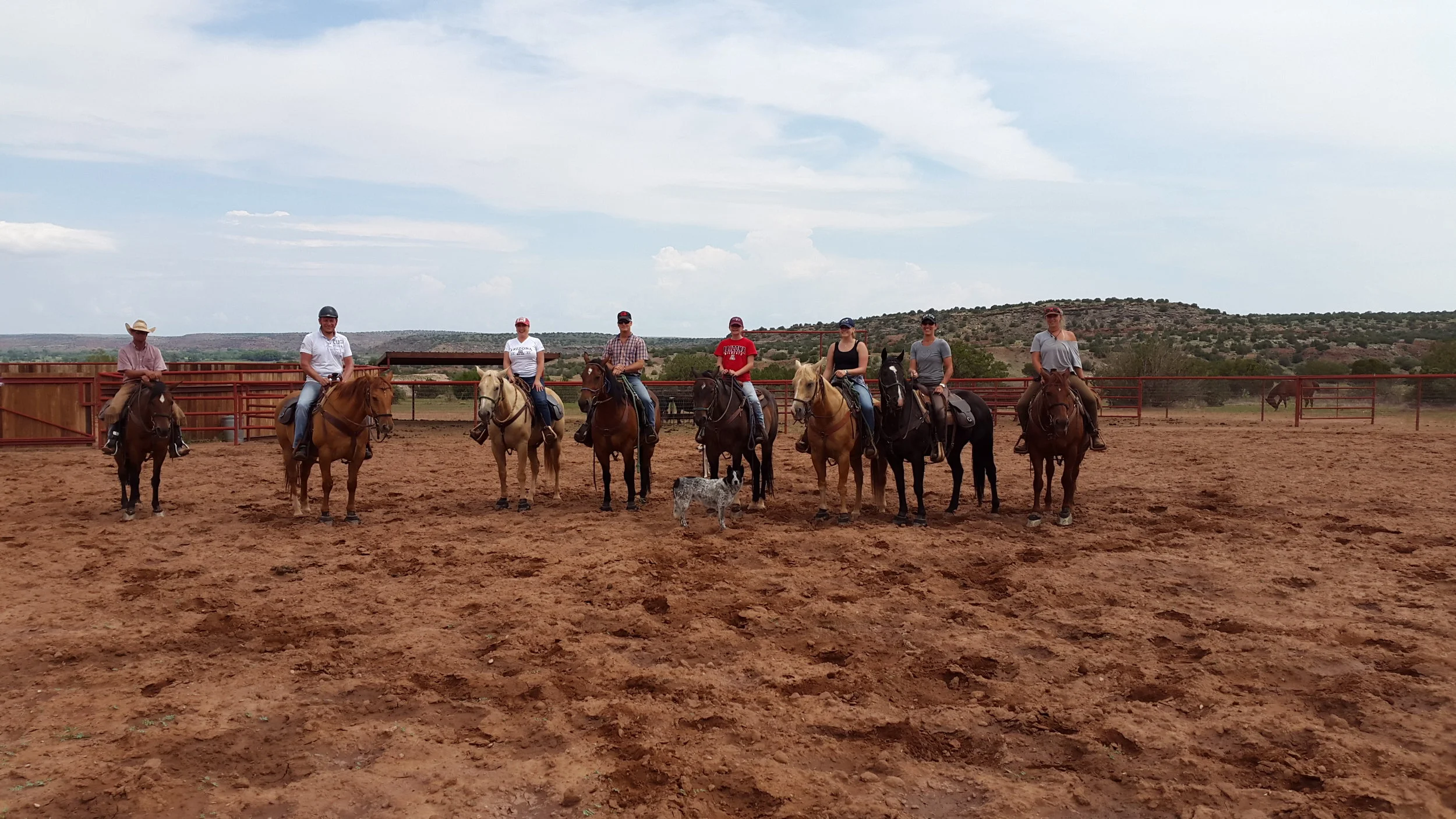 Mid of August we had guests from the U.S. as well as from Germany. Left to right: Rob on Hank, Thomas on Whiskey, Judy on Mr. Ed, Brian on Kip, Emma on Ricky, Gabrielle on Johnny, Carmen on Harry and Annika on Butch. Oh, I forgot Luna - our dog - who wanted to be in the picture as well ;-) Mitte August hatten wir zeitgleich Gäste aus den USA und aus Deutschland. Von links nach rechts: Rob auf Hank, Thomas auf Whiskey, Judy auf Mr. Ed, Brian auf Kip, Emma auf Ricky, Gabrielle auf Johnny, Carmen auf Harry und Annika auf Butch. Oh, ich hab Luna - unseren Hund - vergessen, die unbedingt mit ins Bild musste ;-)