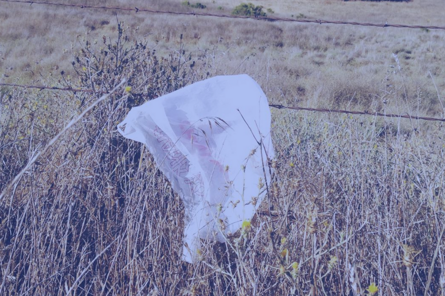 Blog placeholder 1 (1).png