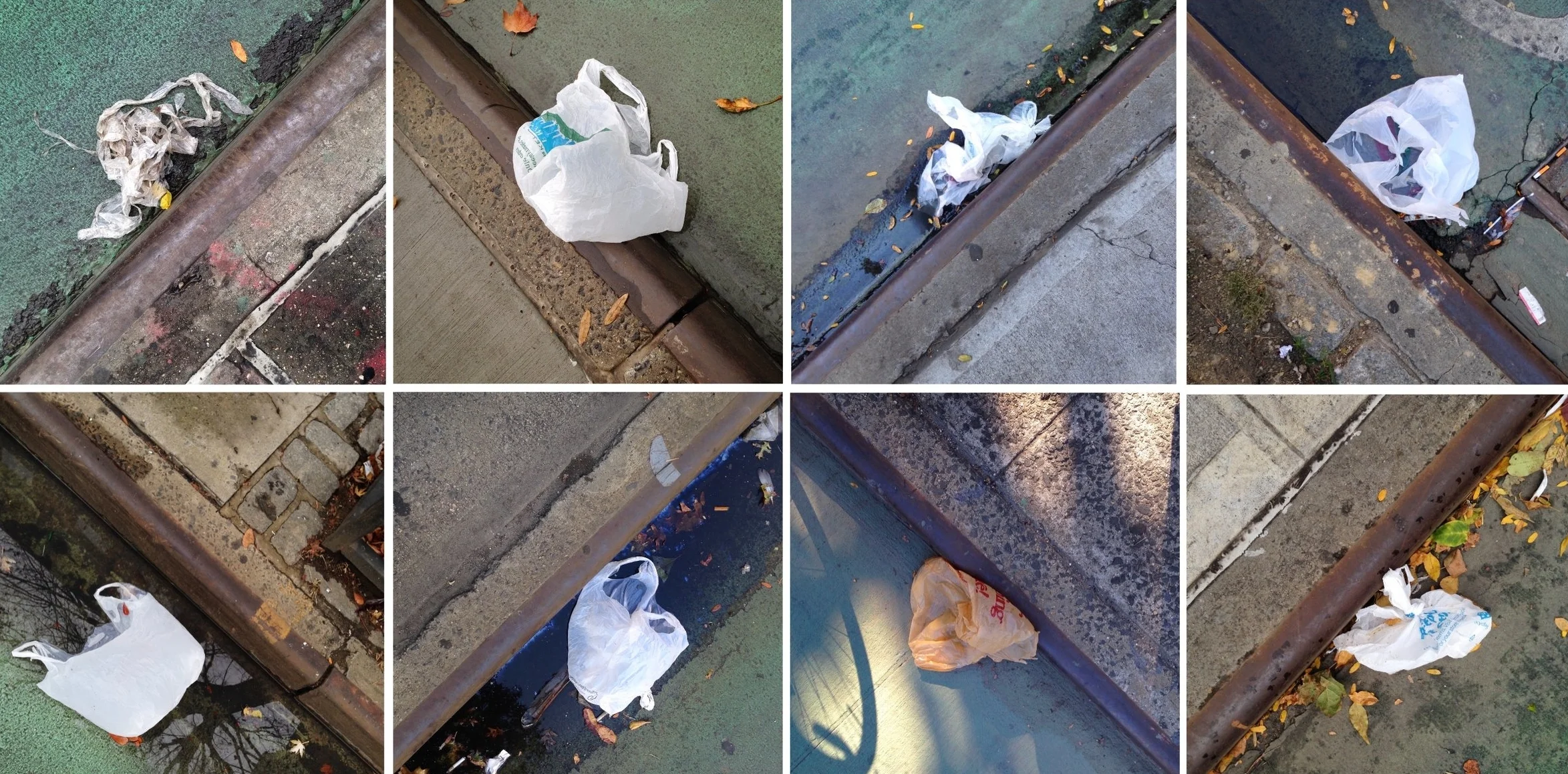 Environmentalists Urge Governor Cuomo to Keep His Promise to Address Plastic Bag Pollution