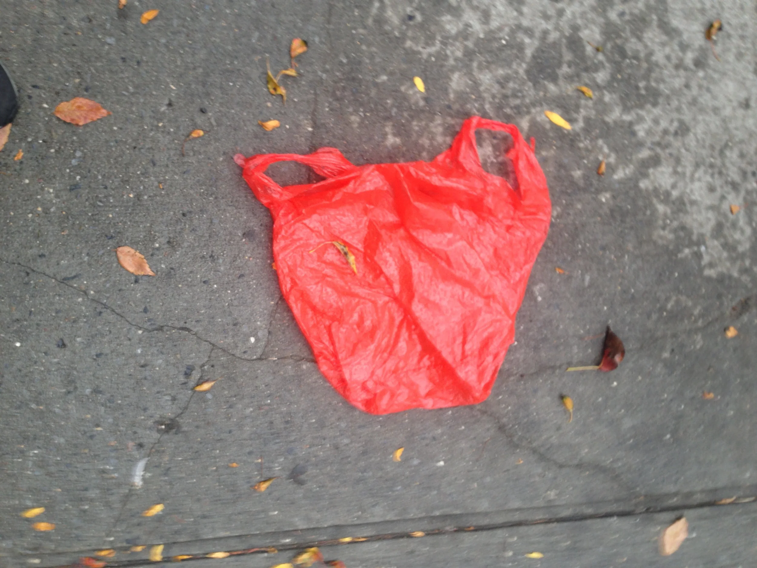Governor Cuomo's Plastic Bag Task Force Fails to Recommend a Solution