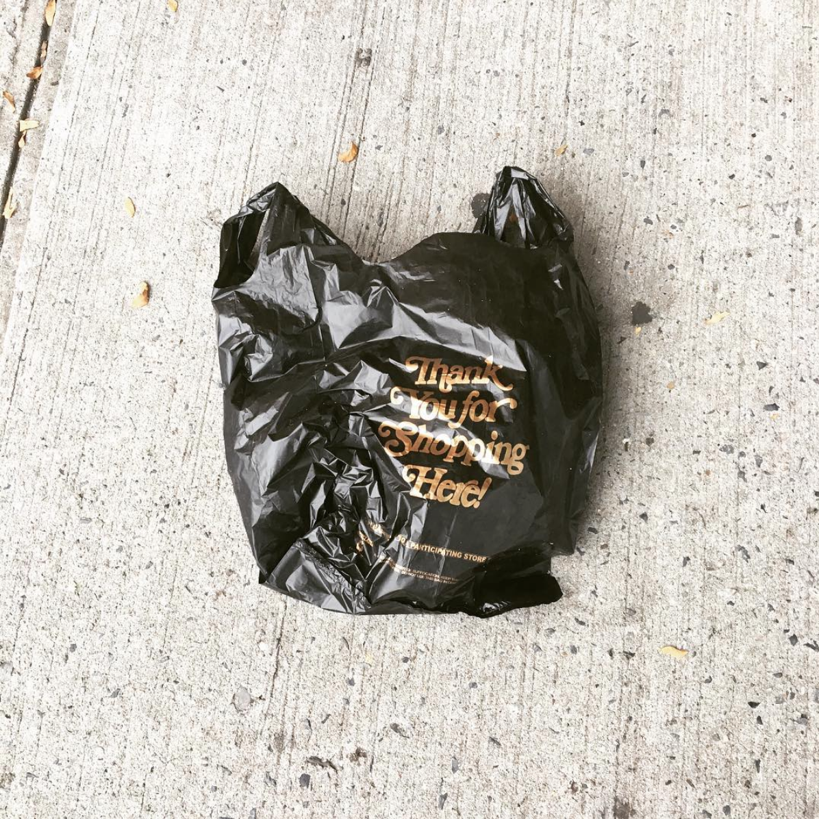 Day of Action to Demand Changes to Cuomo’s Proposed Bag Bill