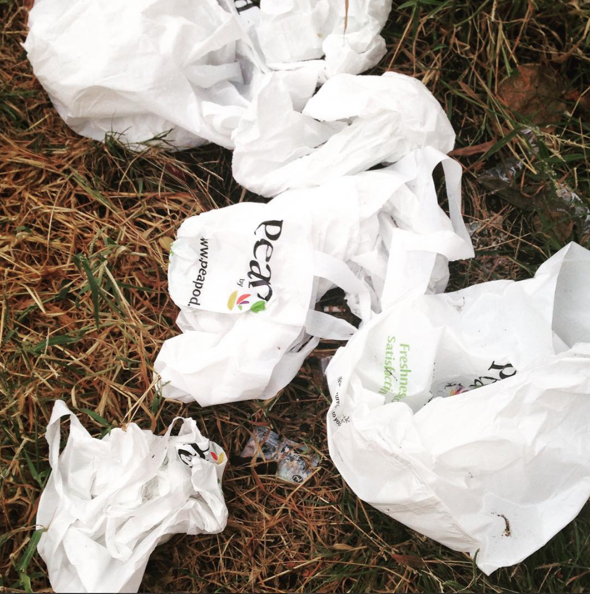 NRC/PennRMC Webinar on Plastic Bag Law Implementation & Enforcement Strategies