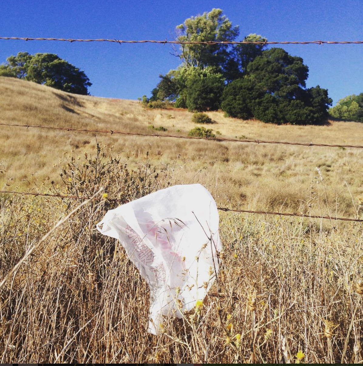 Supreme Court of Texas Strikes Down Laredo's Bag Ban - - Why We Should All Be Alarmed