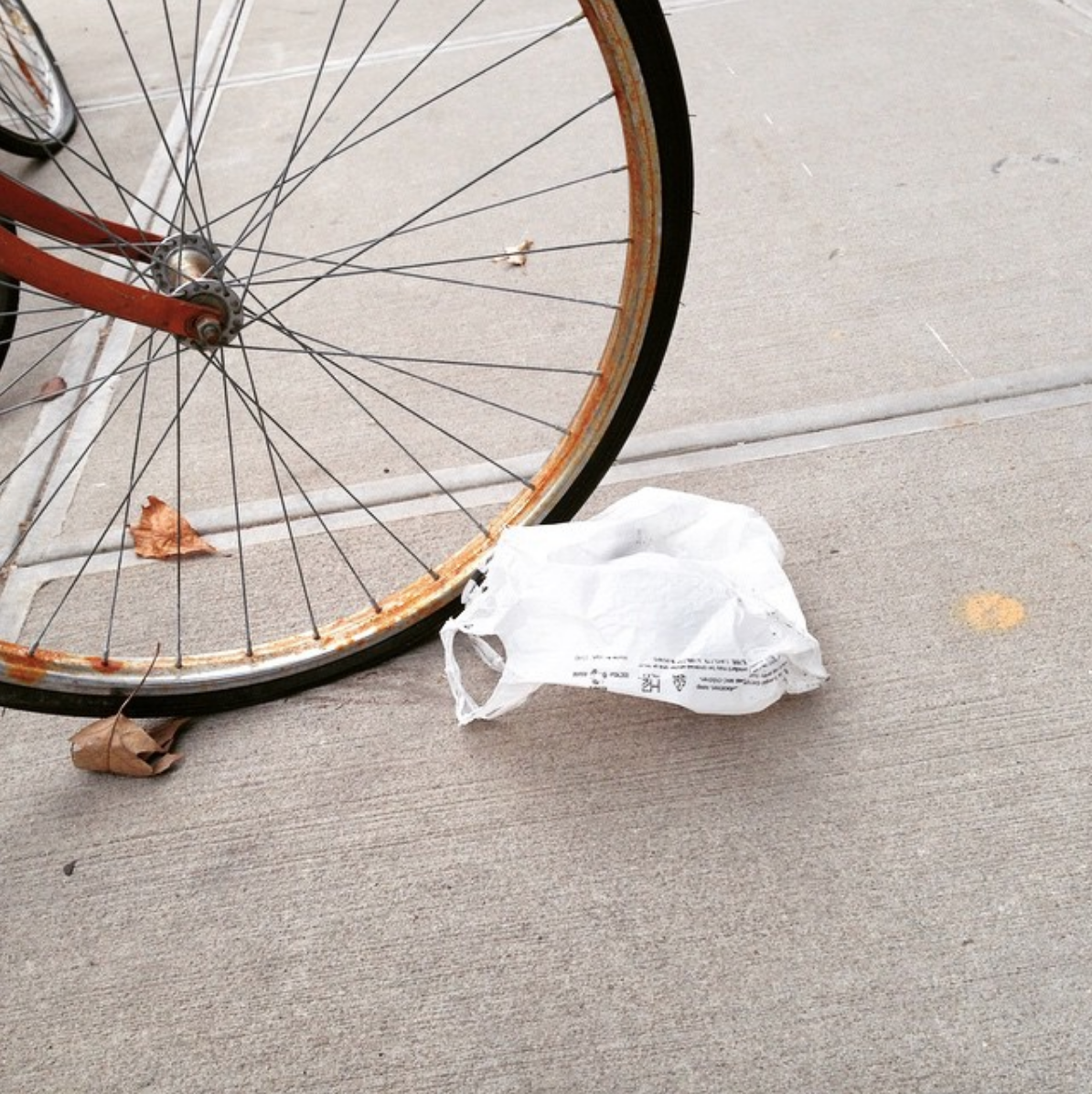 Plastic Bag Laws Summer Recap