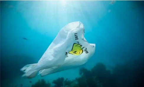 Surfrider Foundation Announces Plastic Bag Law Activist Toolkit 