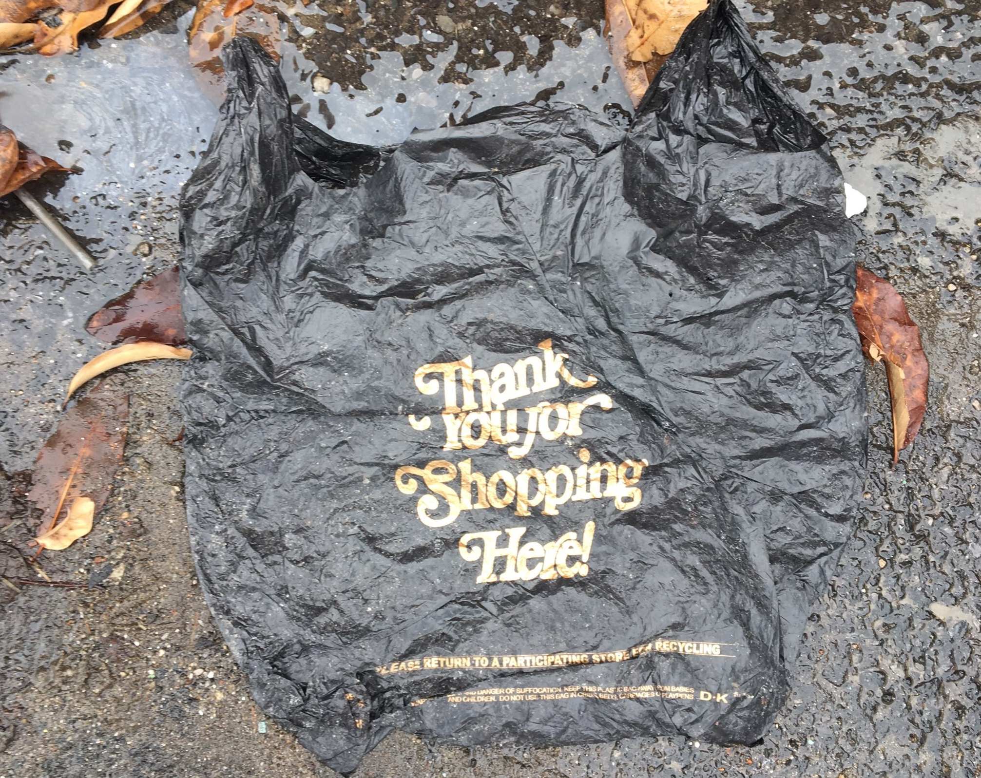 Governor Cuomo:  We Urge You to Amend Your Plastic Bag Ban Proposal