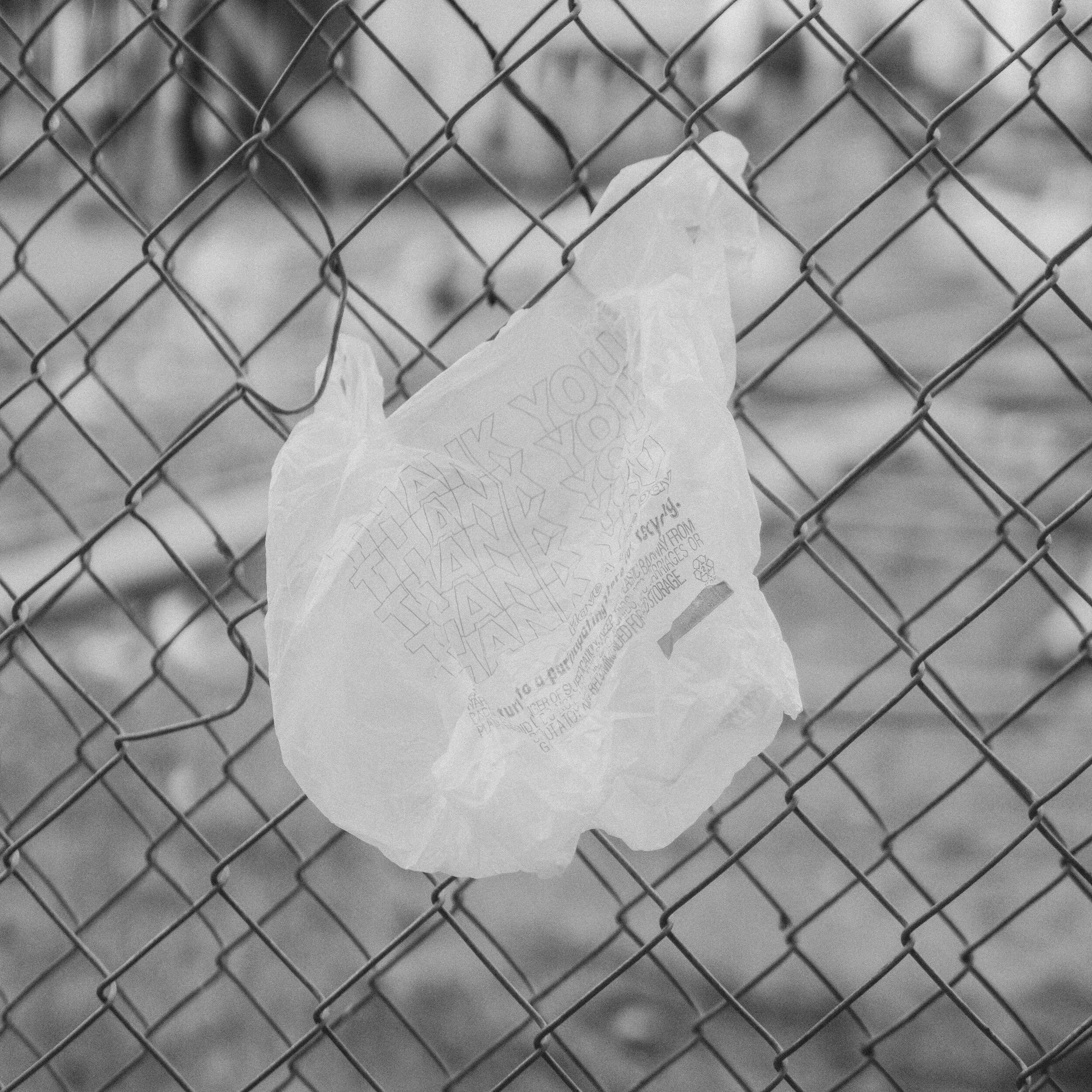 The Latest Plastic Bag Laws and Maps