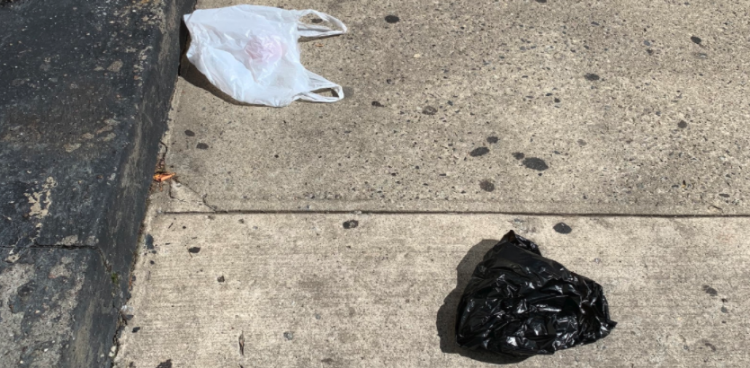 Plastic-bag-in-street-3691-1598377607.png