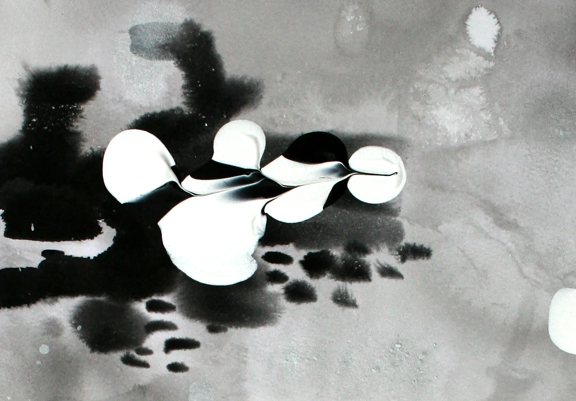 Cropped view Absence 3 original art by Katrina Slade | fine art print | black and white | print on paper | canvas print