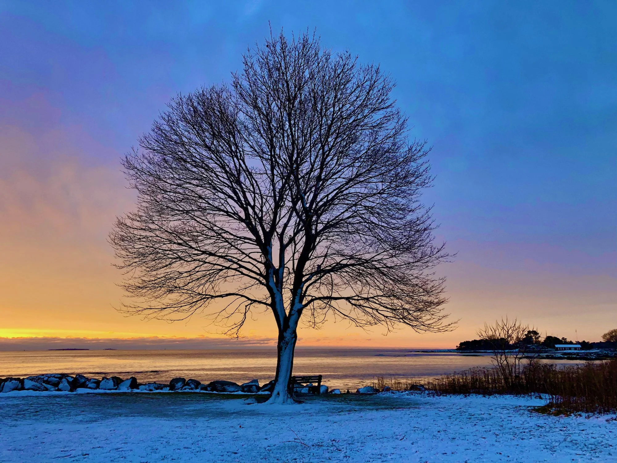 Asking Toward the Light