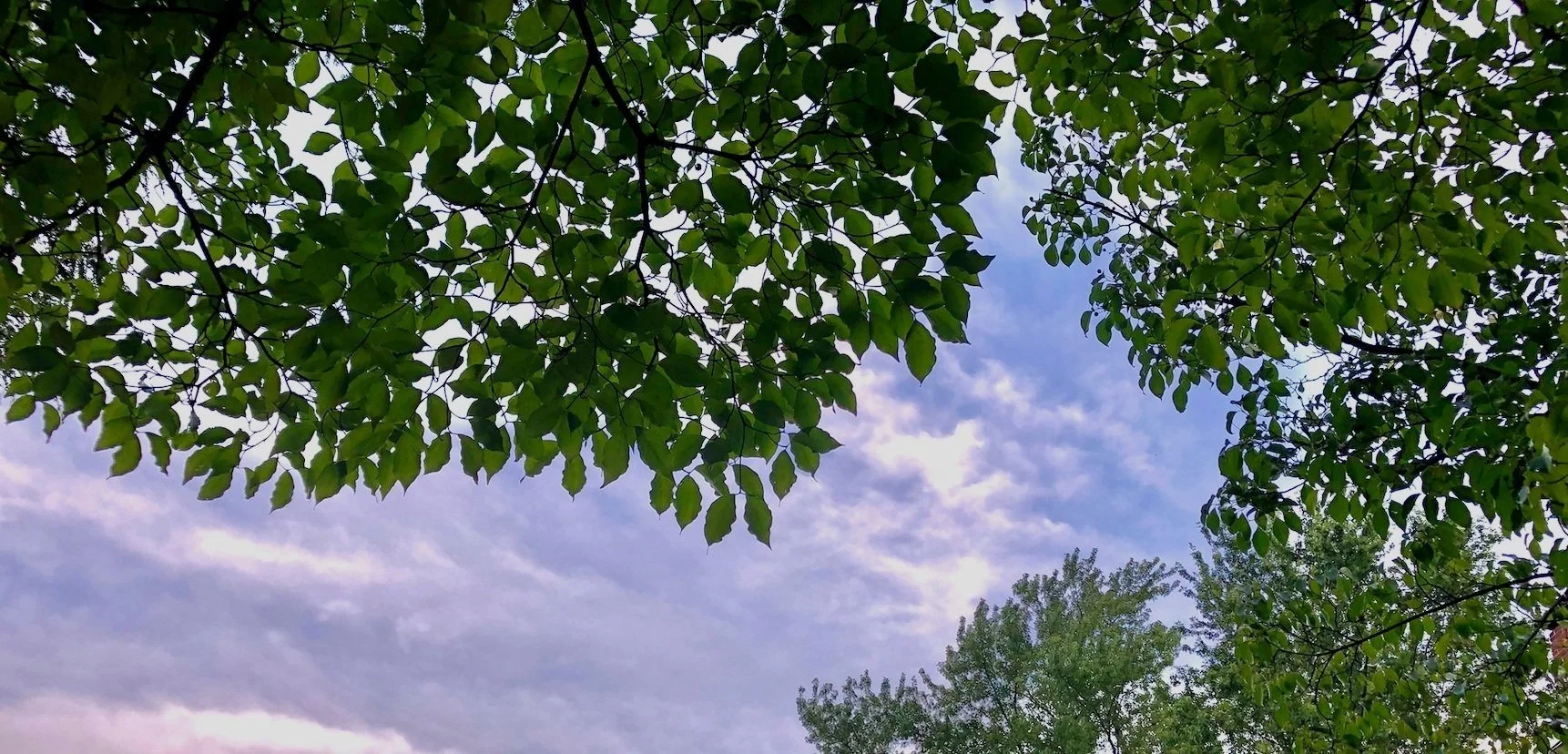 Yes, We Are Part of the Natural World, Aren't We?