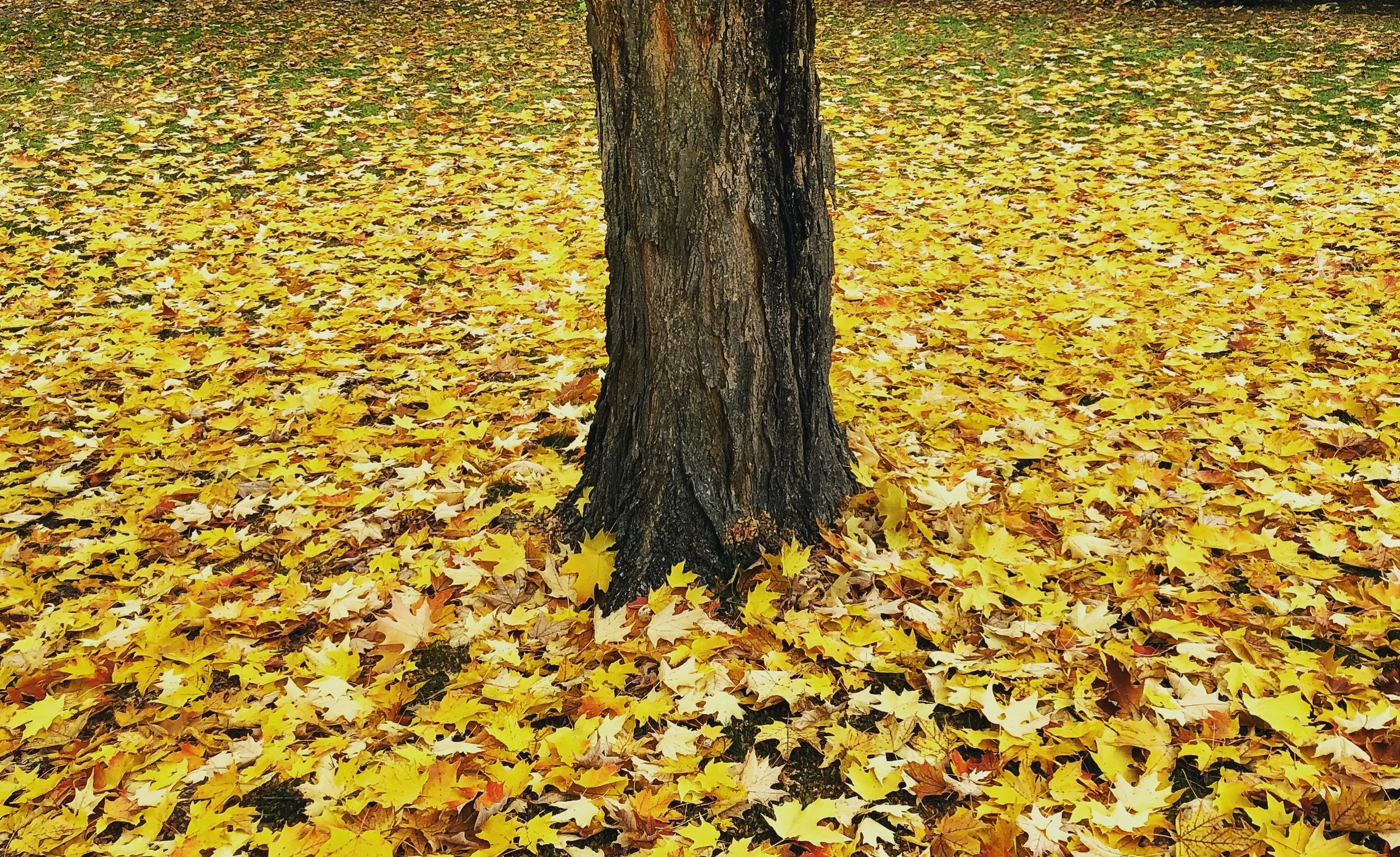 The Invitation of Inadequacy