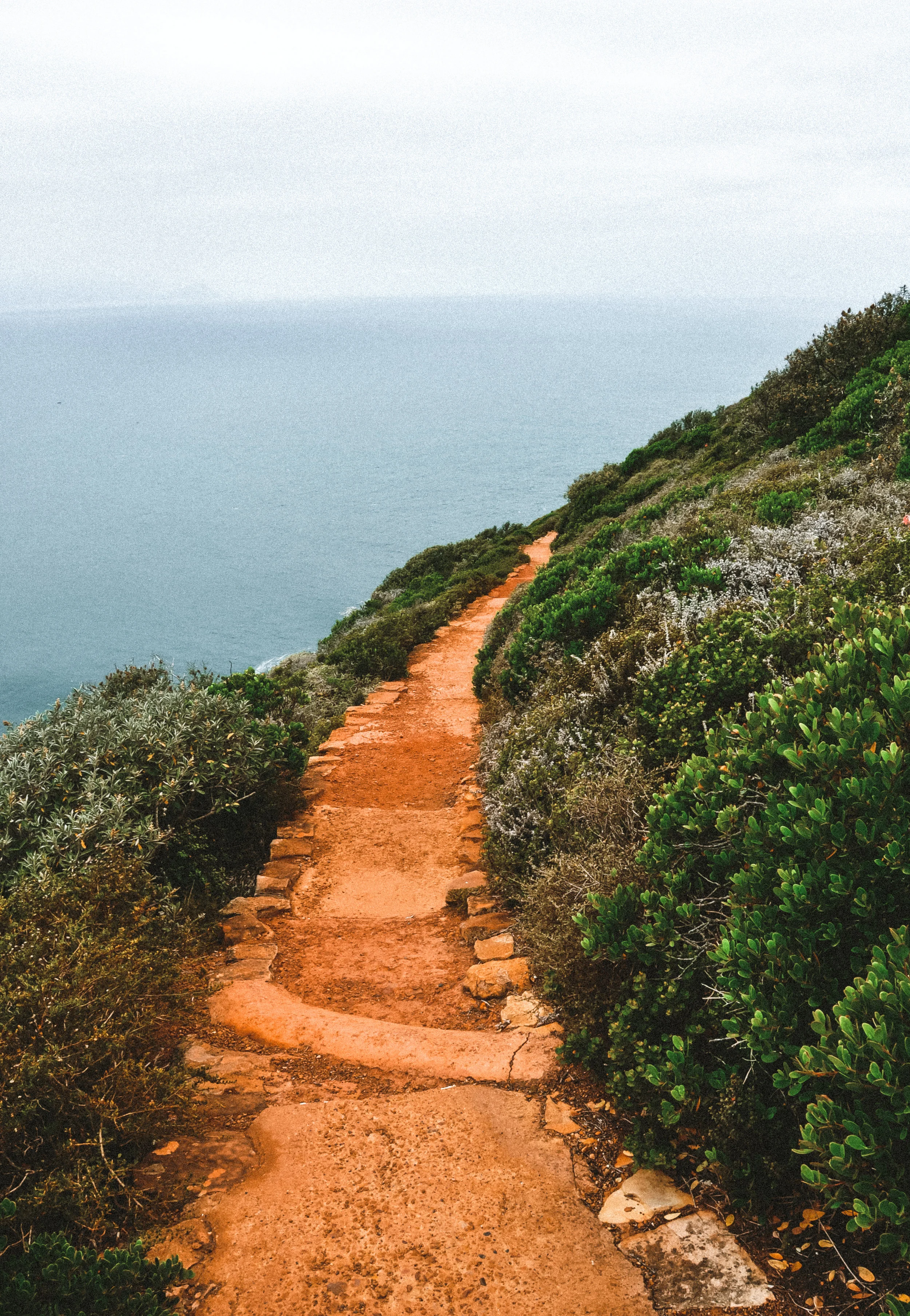 Road to the Edge of Africa