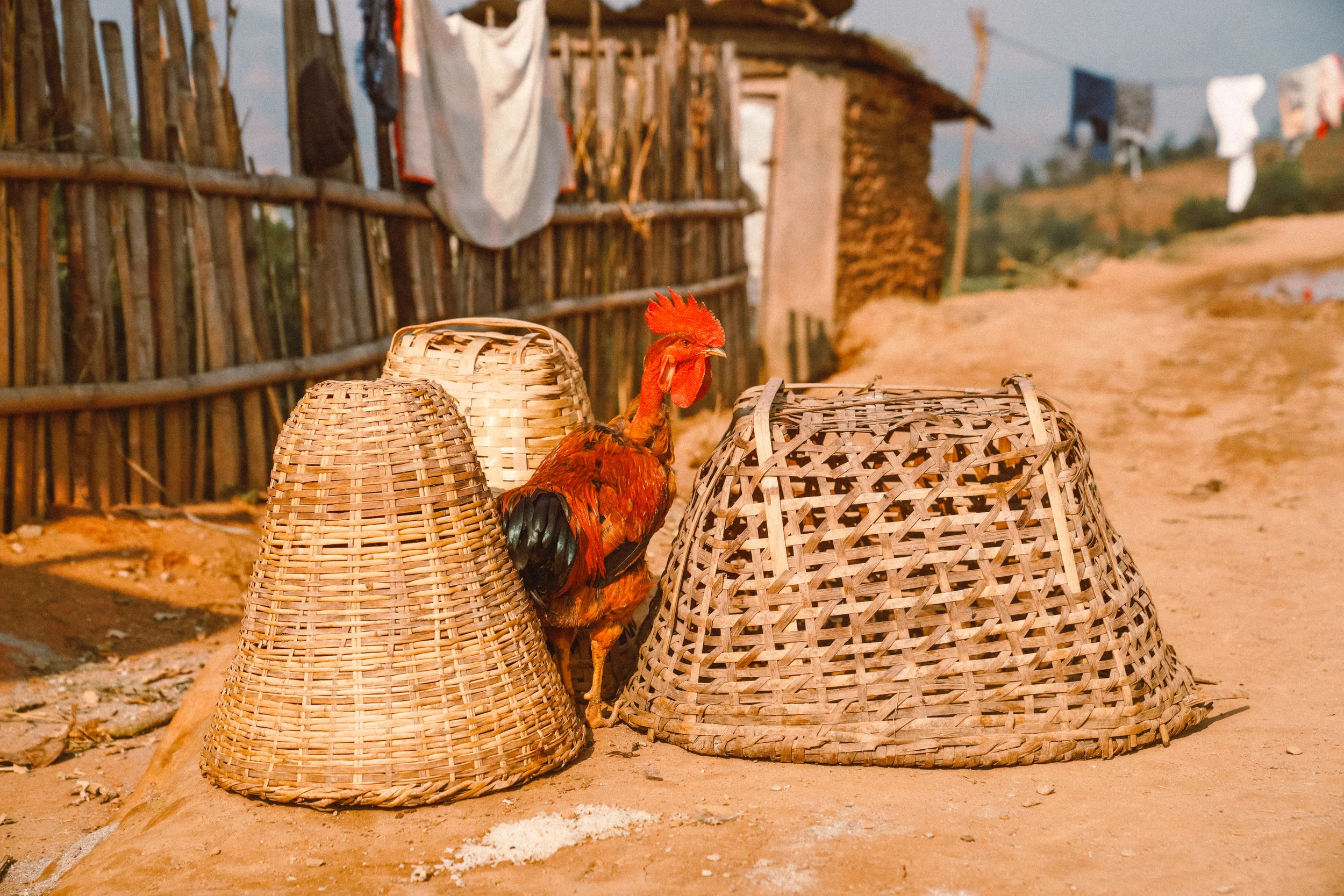 Nepal73-2.jpg