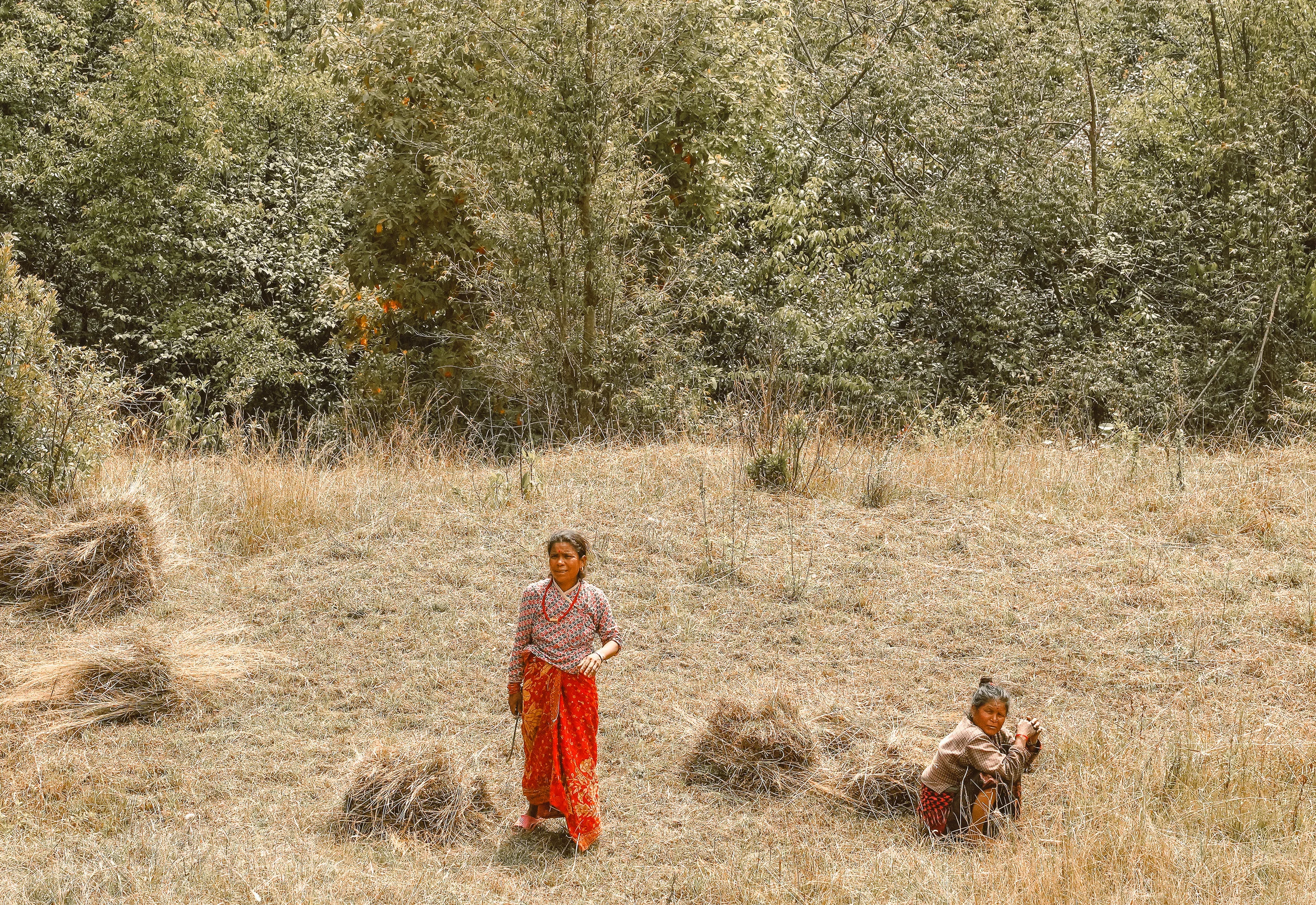 Nepal82-2.jpg