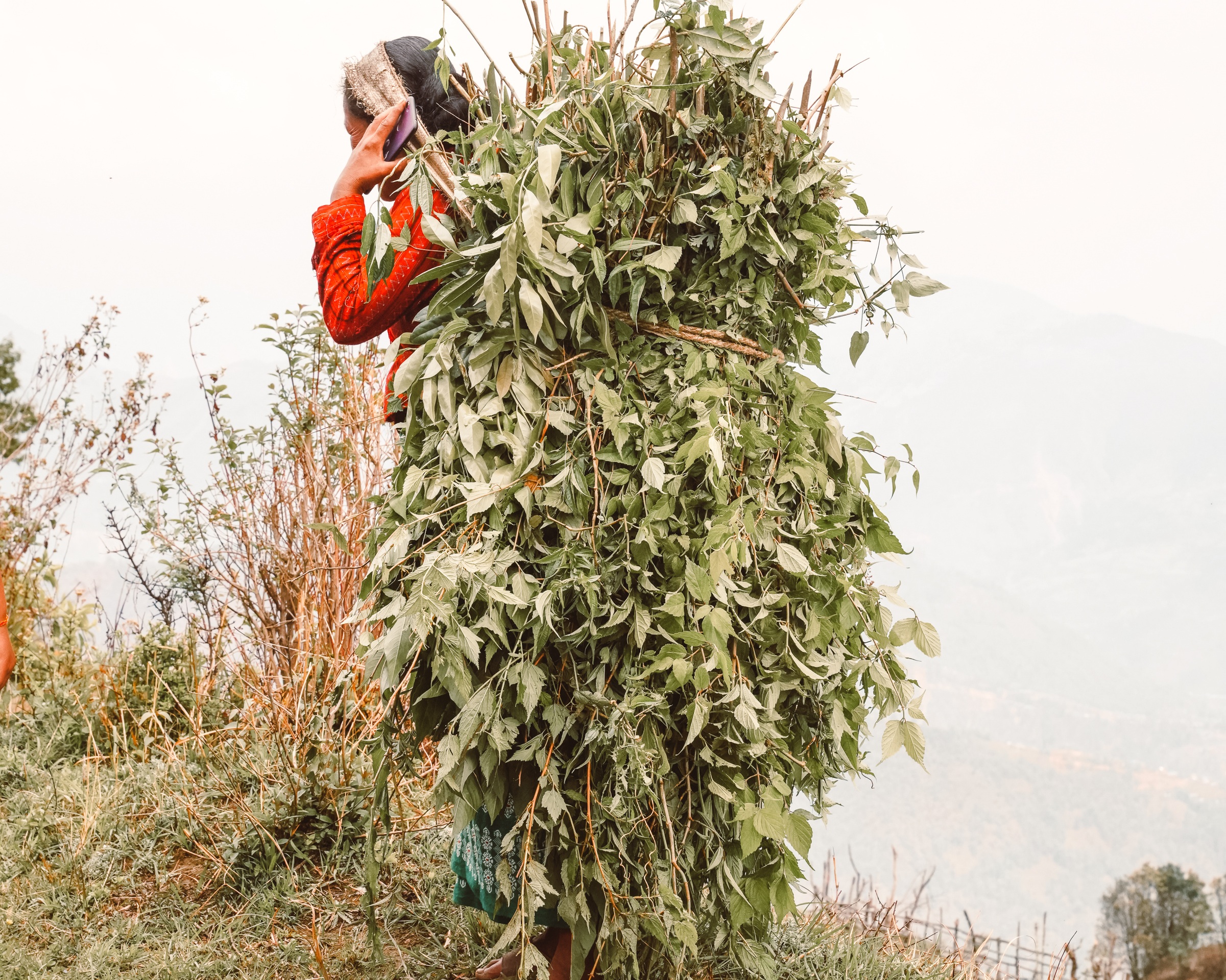 Nepal68-2.jpg