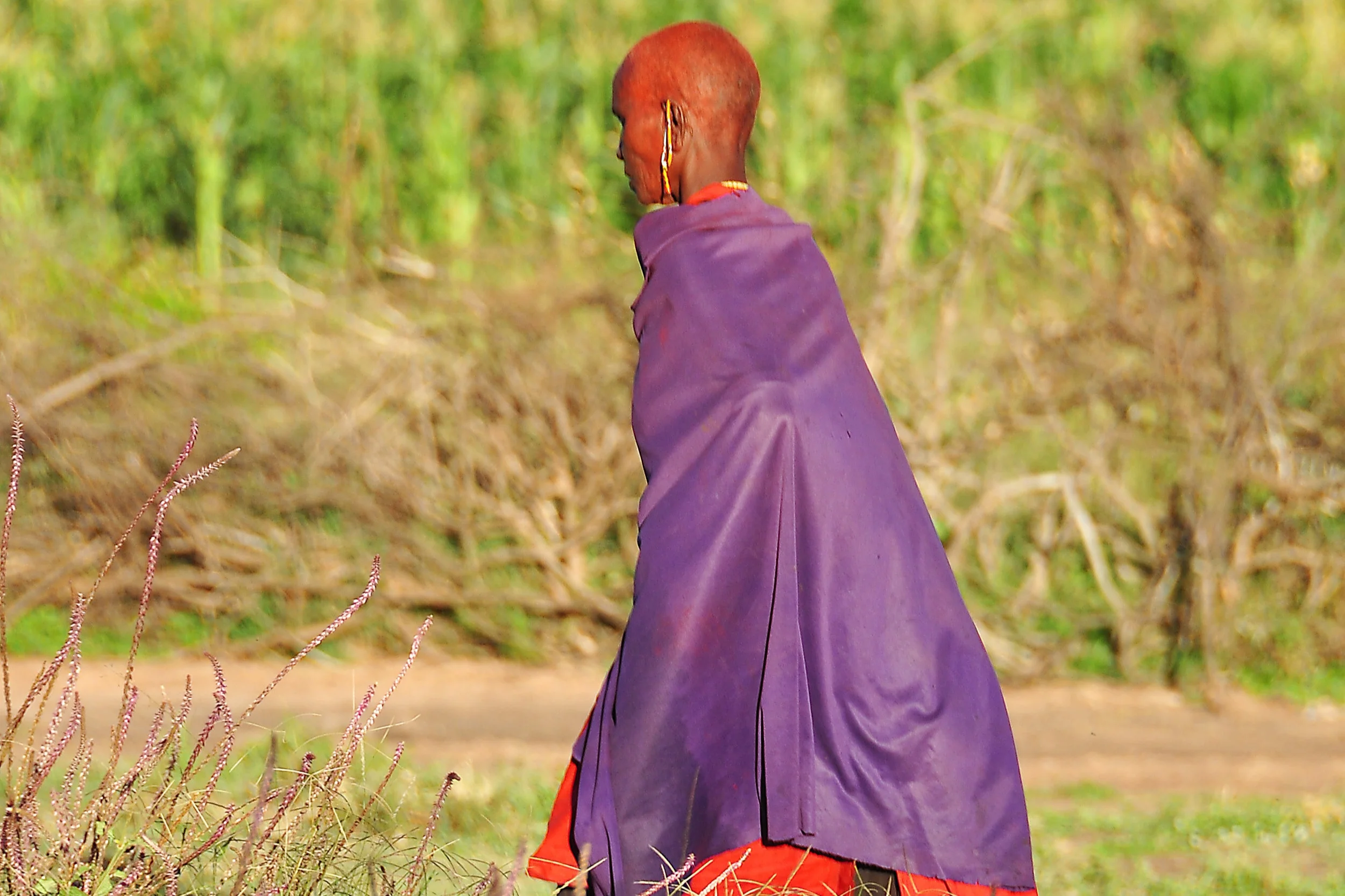 Kenya35.jpg