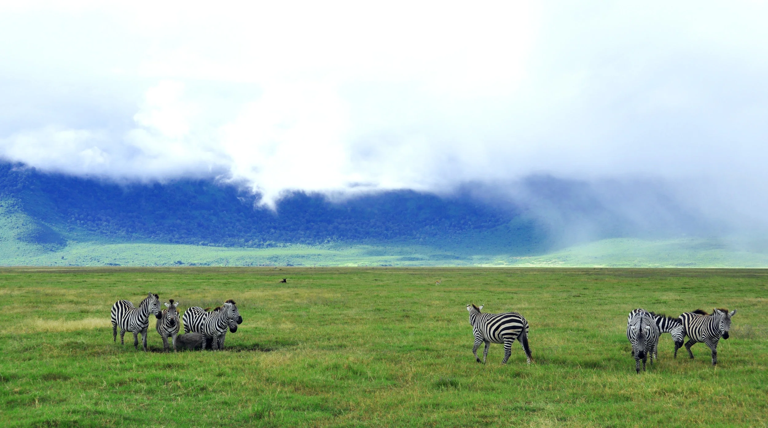 Tanzania16.jpg