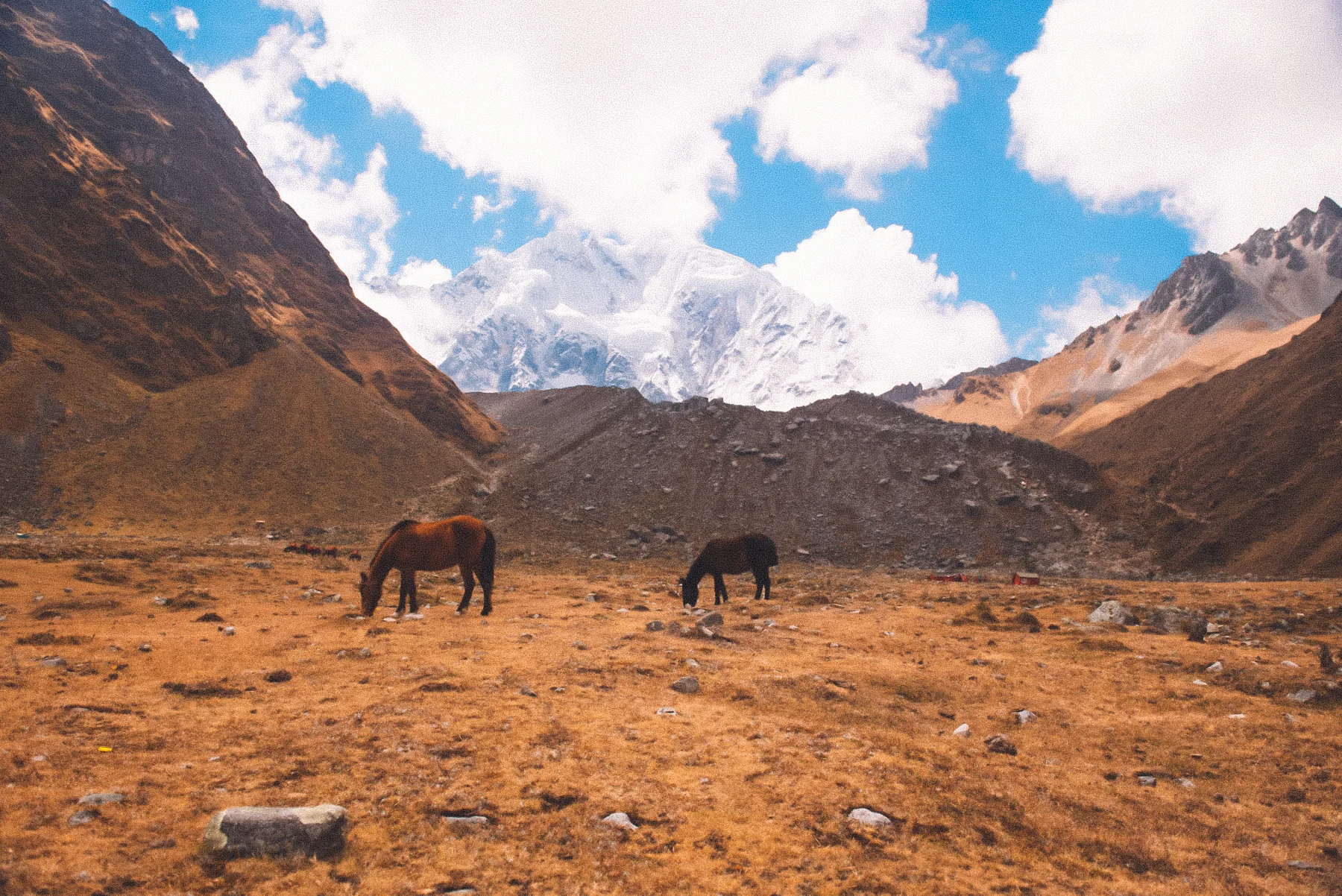 PeruSummer2017_228.jpg