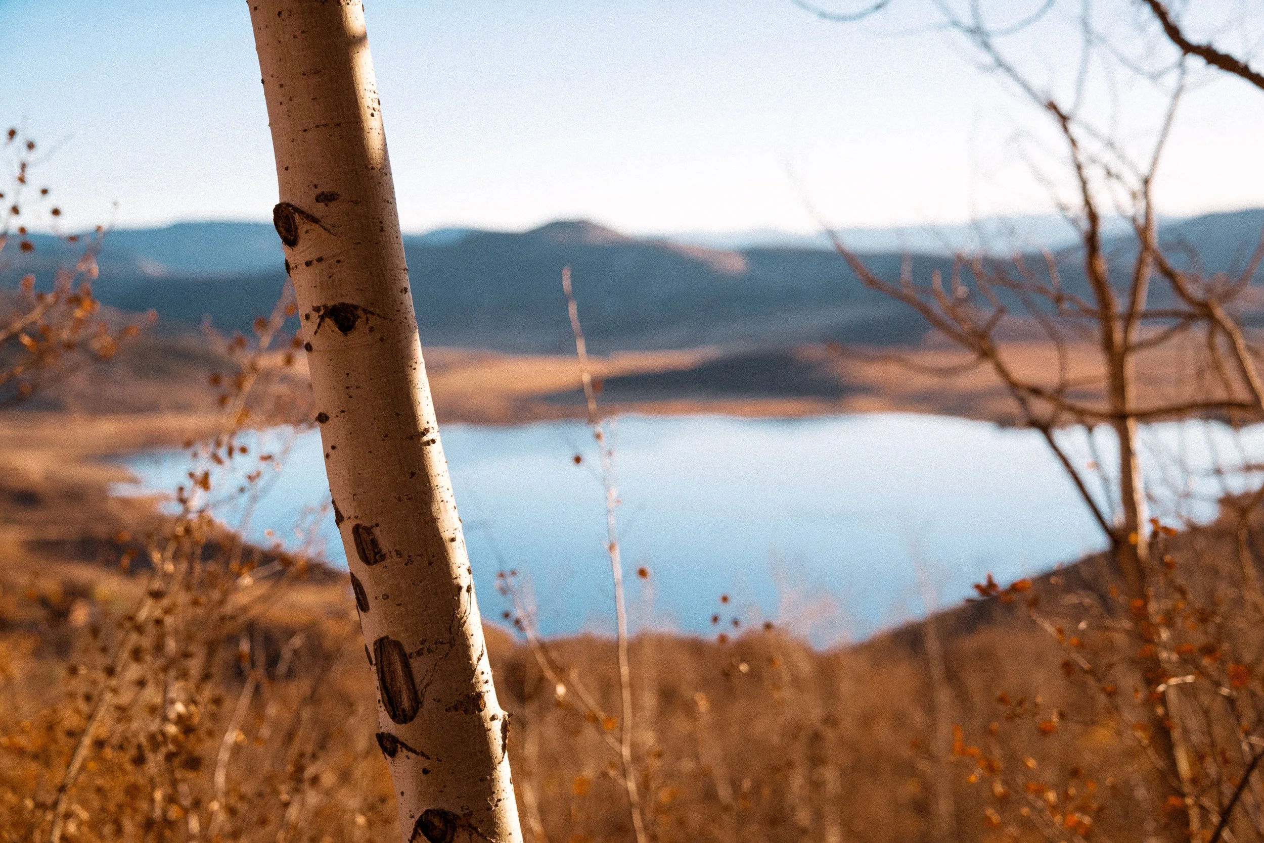 Nature12-2.jpg