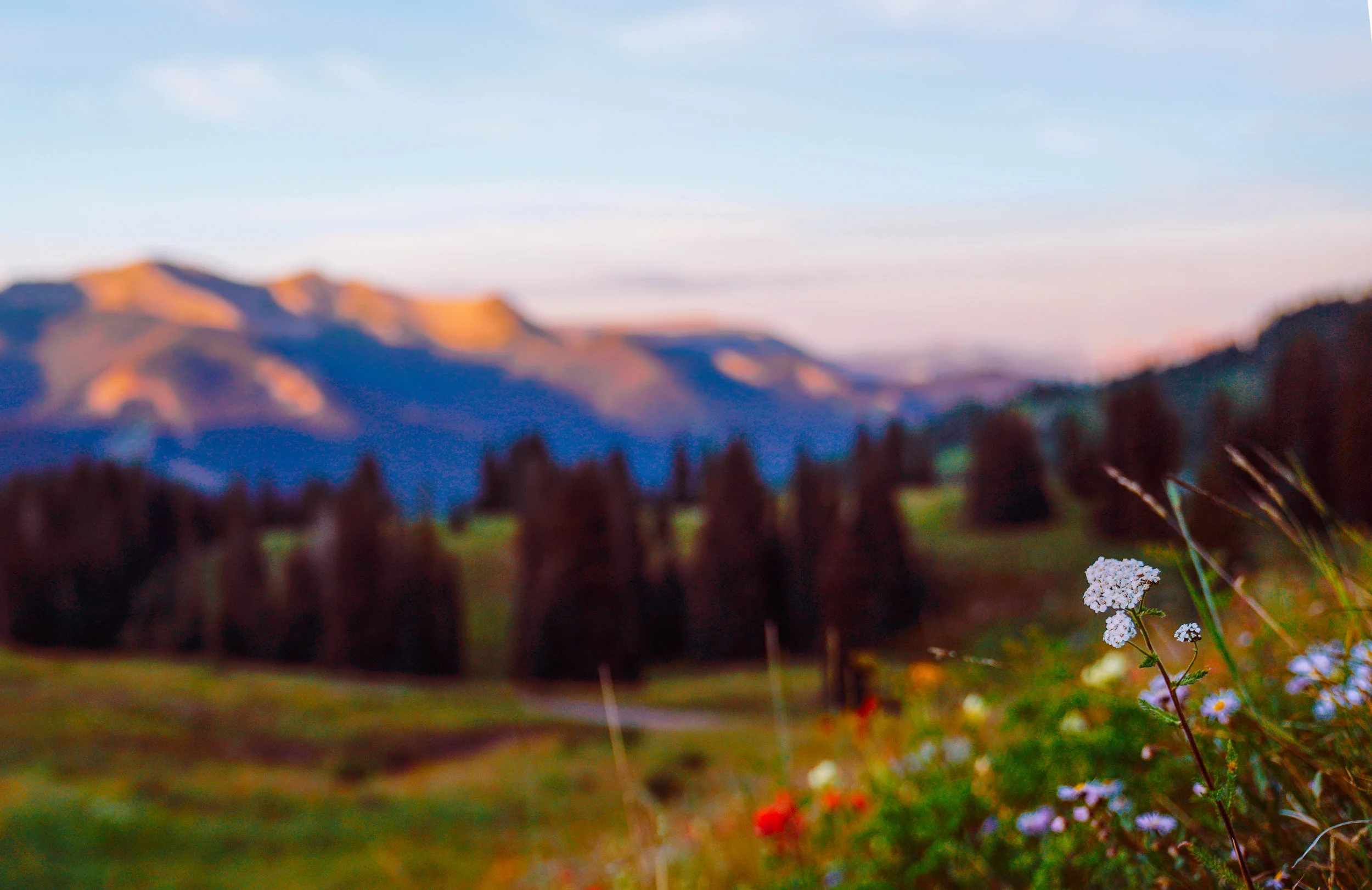 CrestedButte7-2.jpg