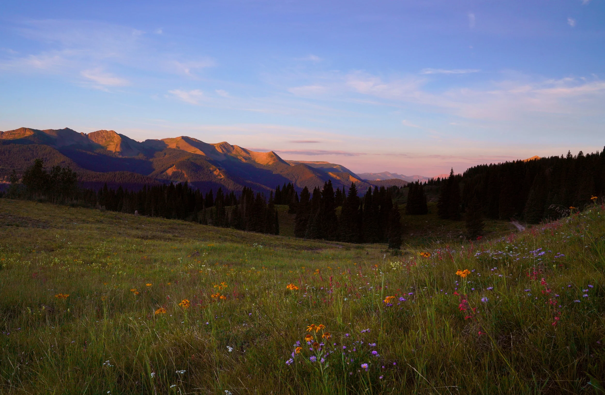 CrestedButte12.jpg