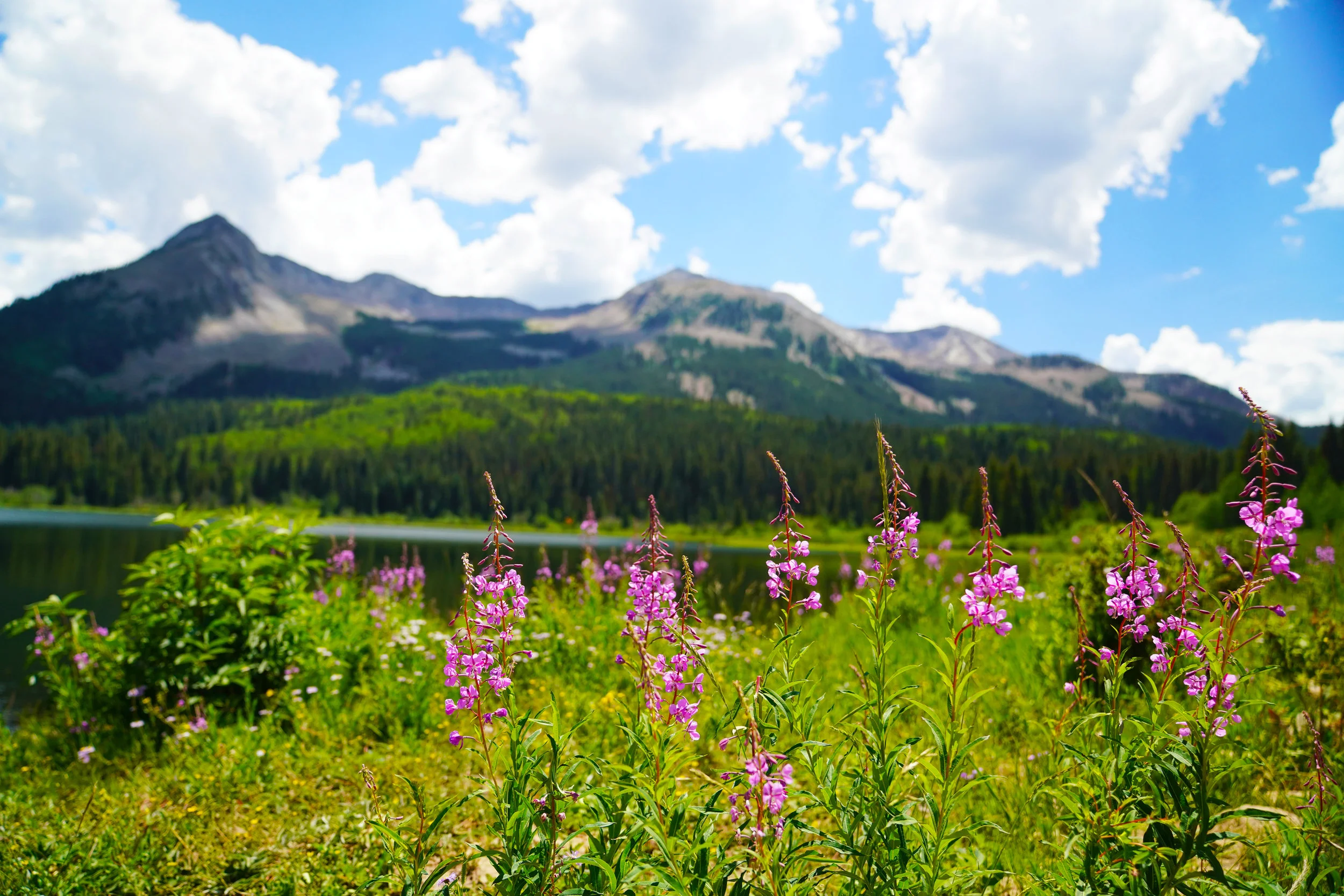 CrestedButte42.jpg