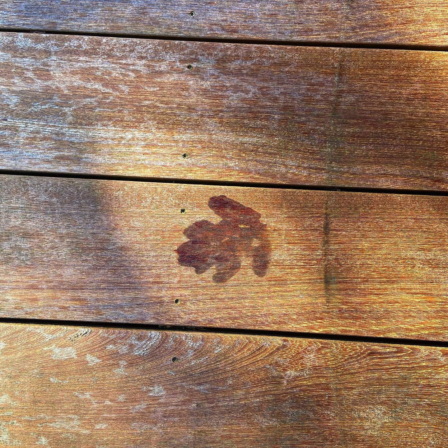 Leaf print from last weekend. We&rsquo;ve been cleaning the deck. It can get slippery in the winter with so many trees around the house. The cleaning machine has done it&rsquo;s work. All good now. Just in time for guests this week and some spring we