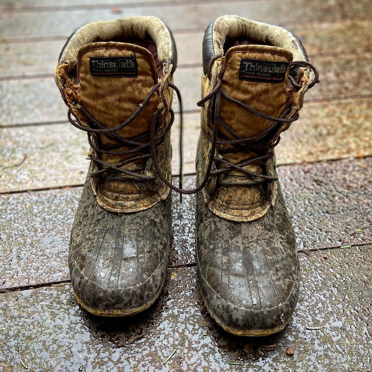 Squirrel ate my boots! We&rsquo;ve been clearing the shed and getting the house ready for guests. Went to fetch my trusty duck boots, bought in New Jersey over 20 years ago. 

I thought they felt a bit heavy. Discovered one of our woodland friends ha