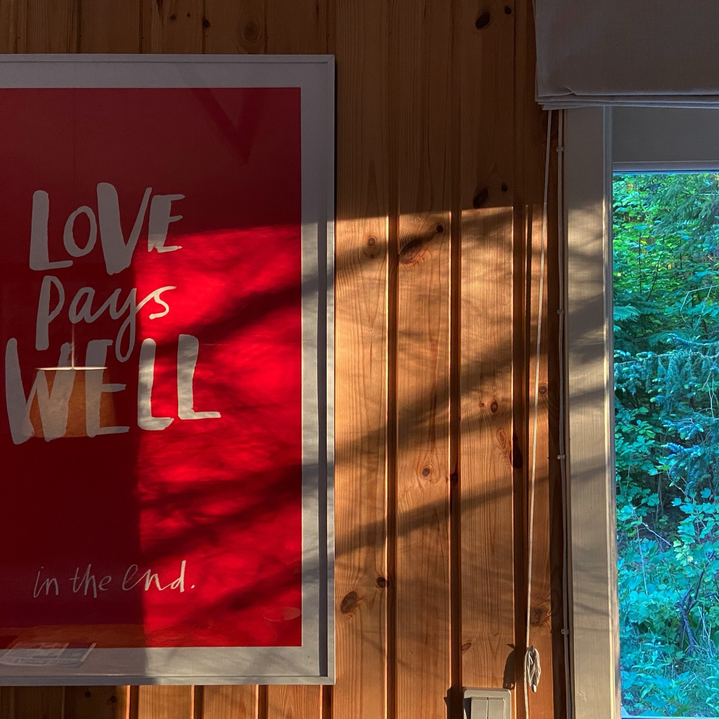 Low evening sun creeping into the house. Let&rsquo;s hope tomorrow brings the same quality of light. 
☀️🌲🔥🌊