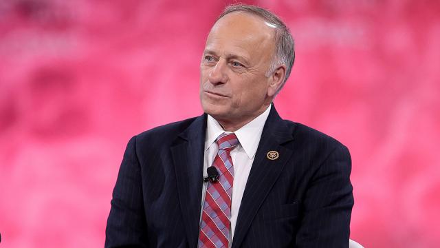 Rep. Steve King: 'Diversity is not our strength'
