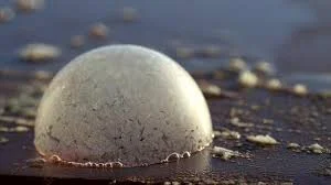 Watch: Bubble Crystallizes In Frigid Weather